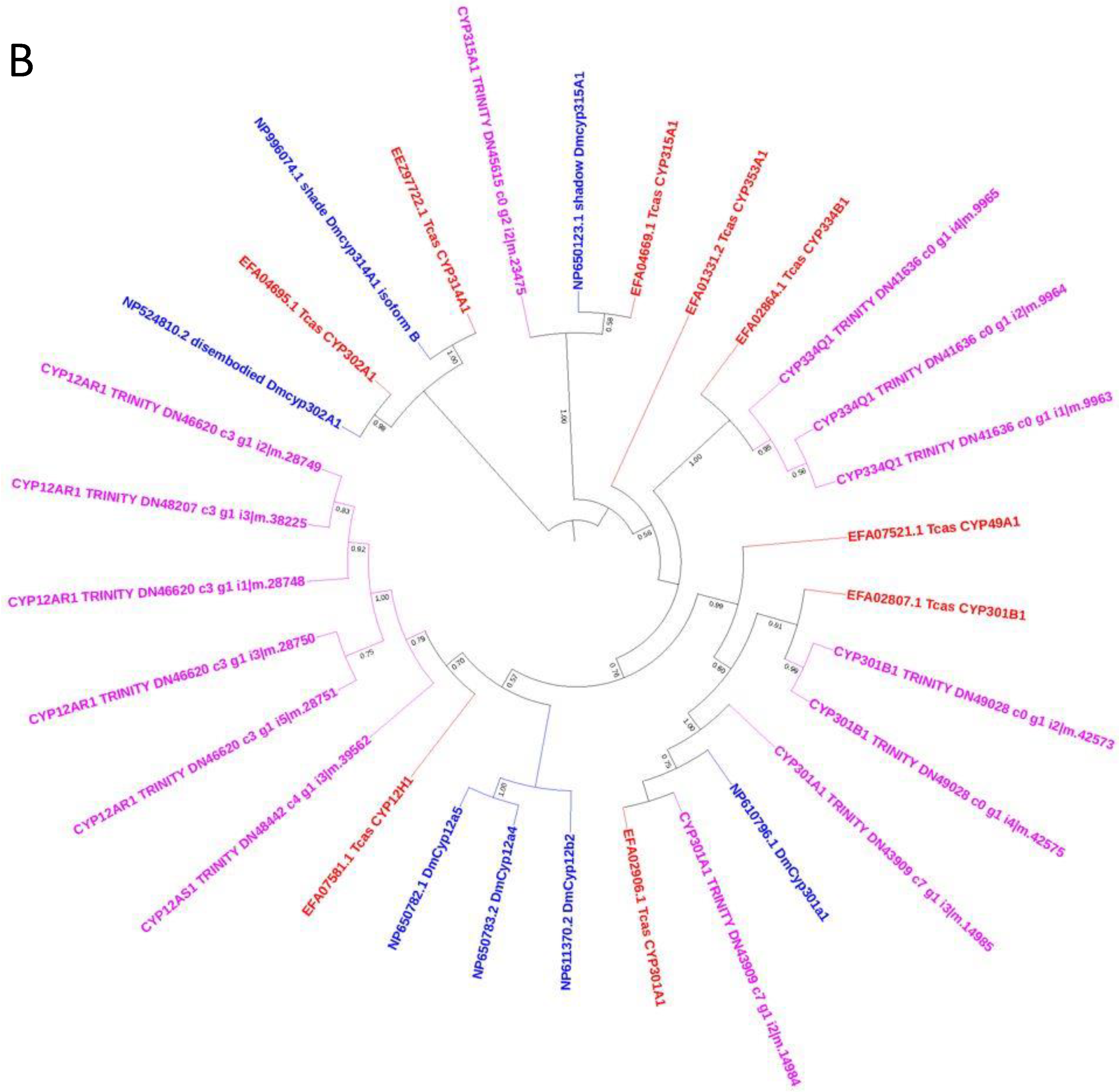 Insects 13 00900 g006b