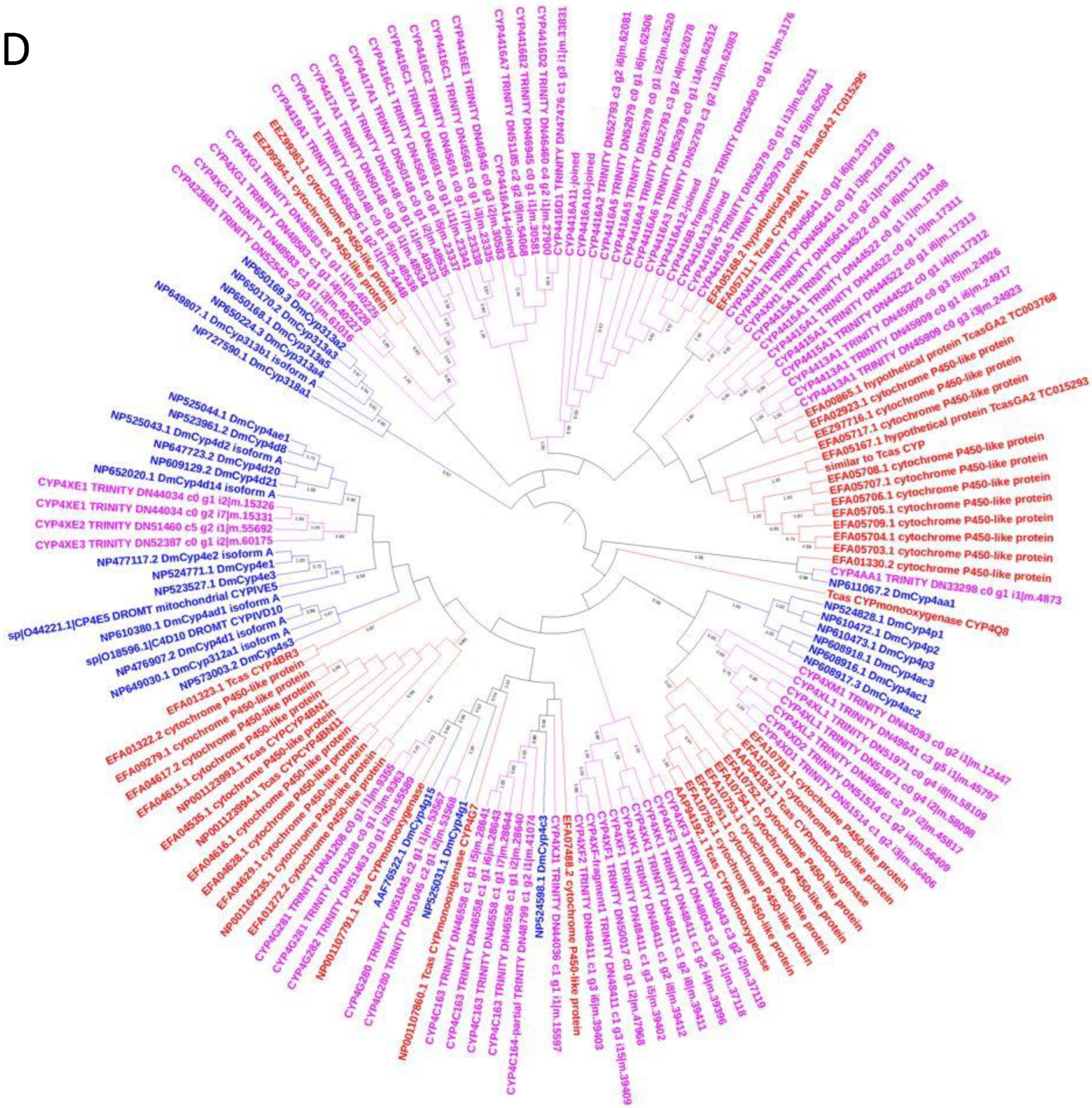 Insects 13 00900 g006d
