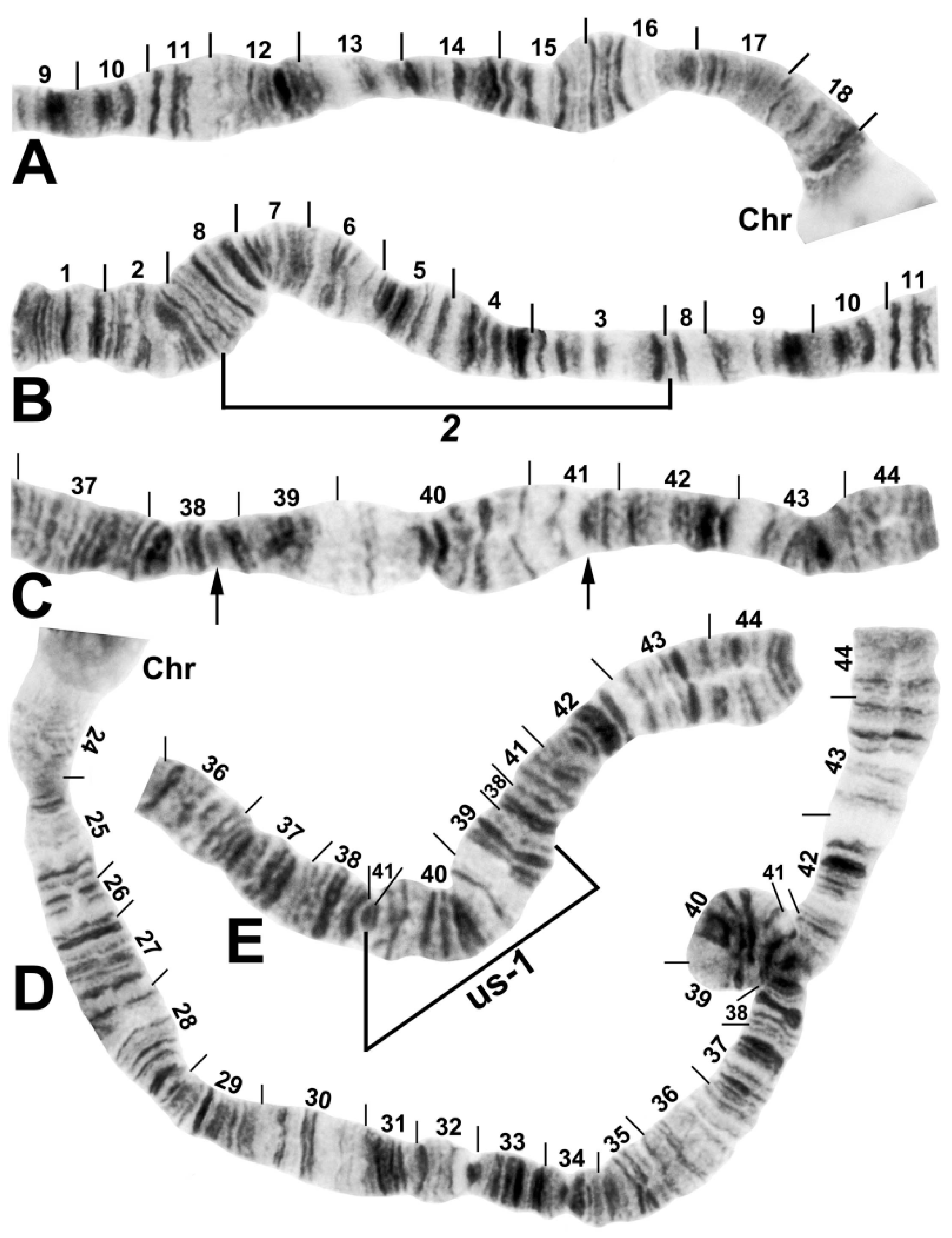 Insects 13 00903 g003 Insects 13 00903 g003