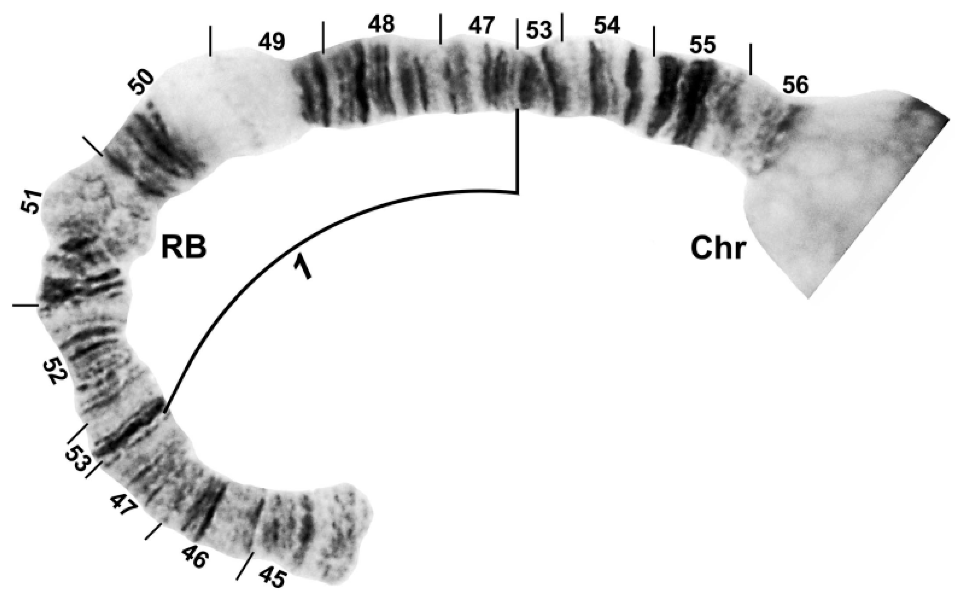 Insects 13 00903 g004 Insects 13 00903 g004