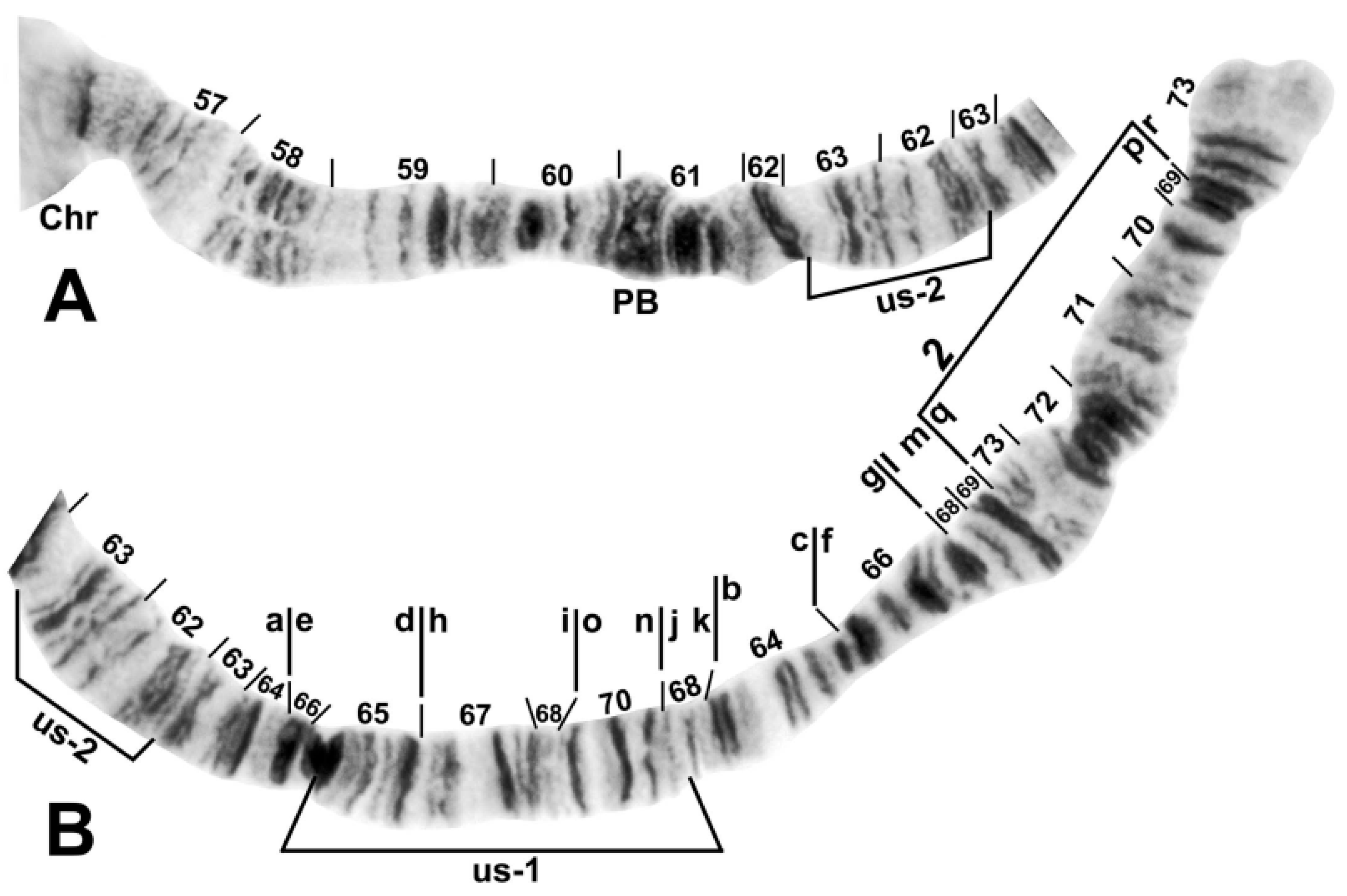 Insects 13 00903 g005 Insects 13 00903 g005