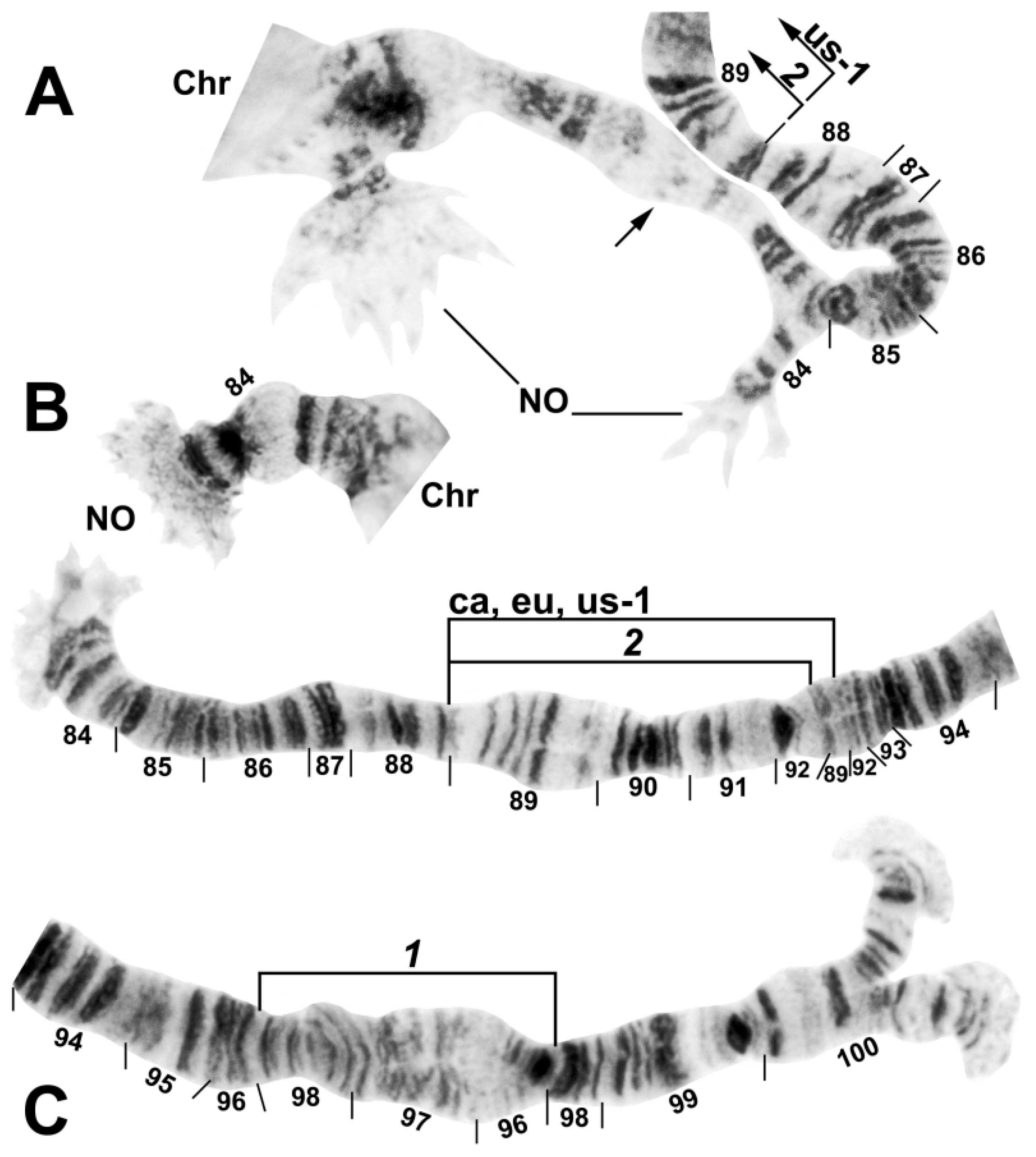 Insects 13 00903 g006 Insects 13 00903 g006