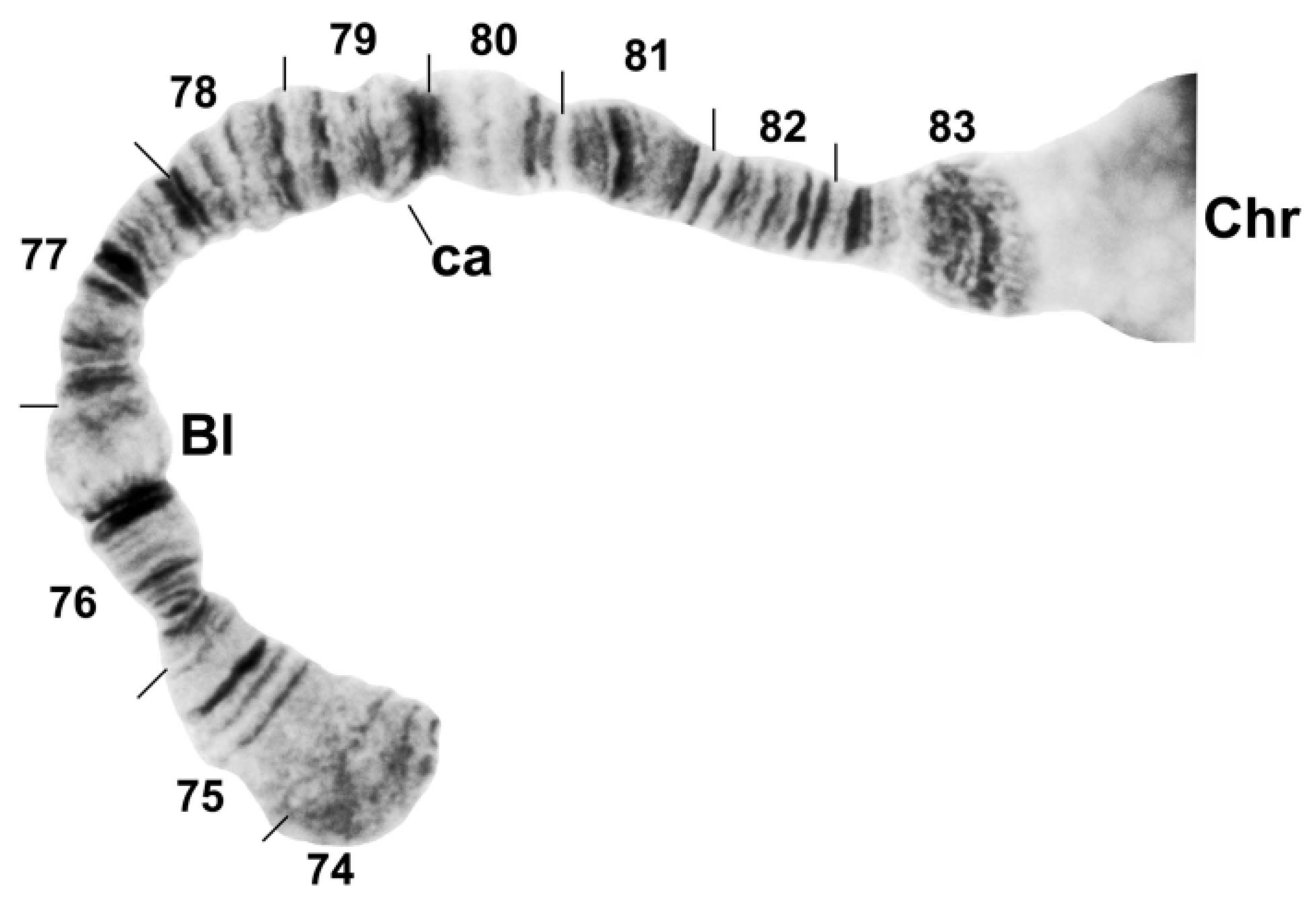 Insects 13 00903 g007 Insects 13 00903 g007