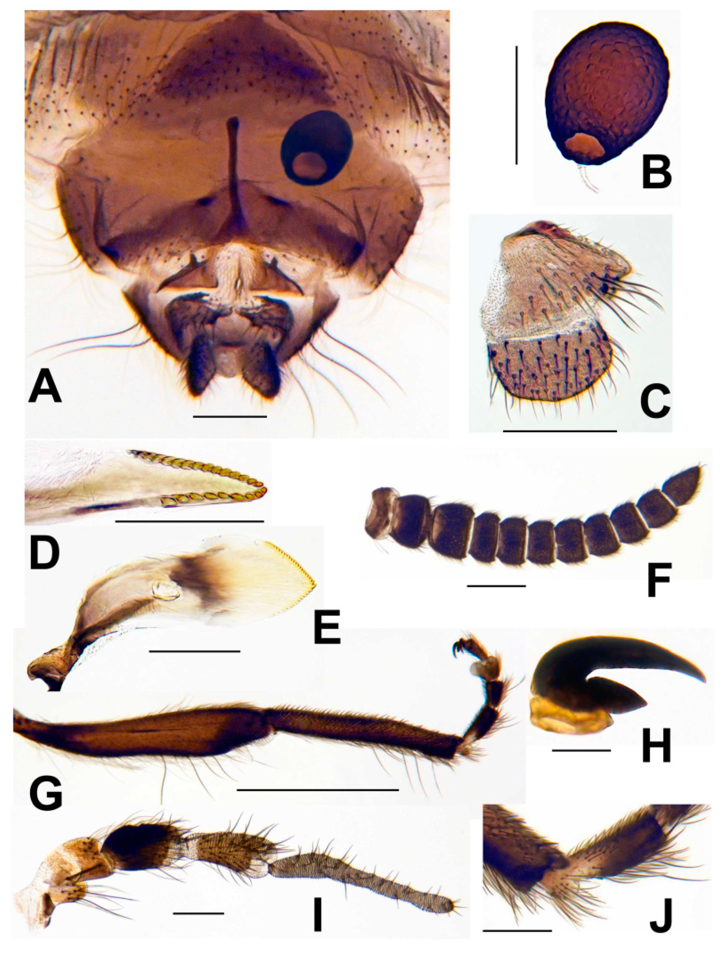 Insects 13 00903 g008 Insects 13 00903 g008