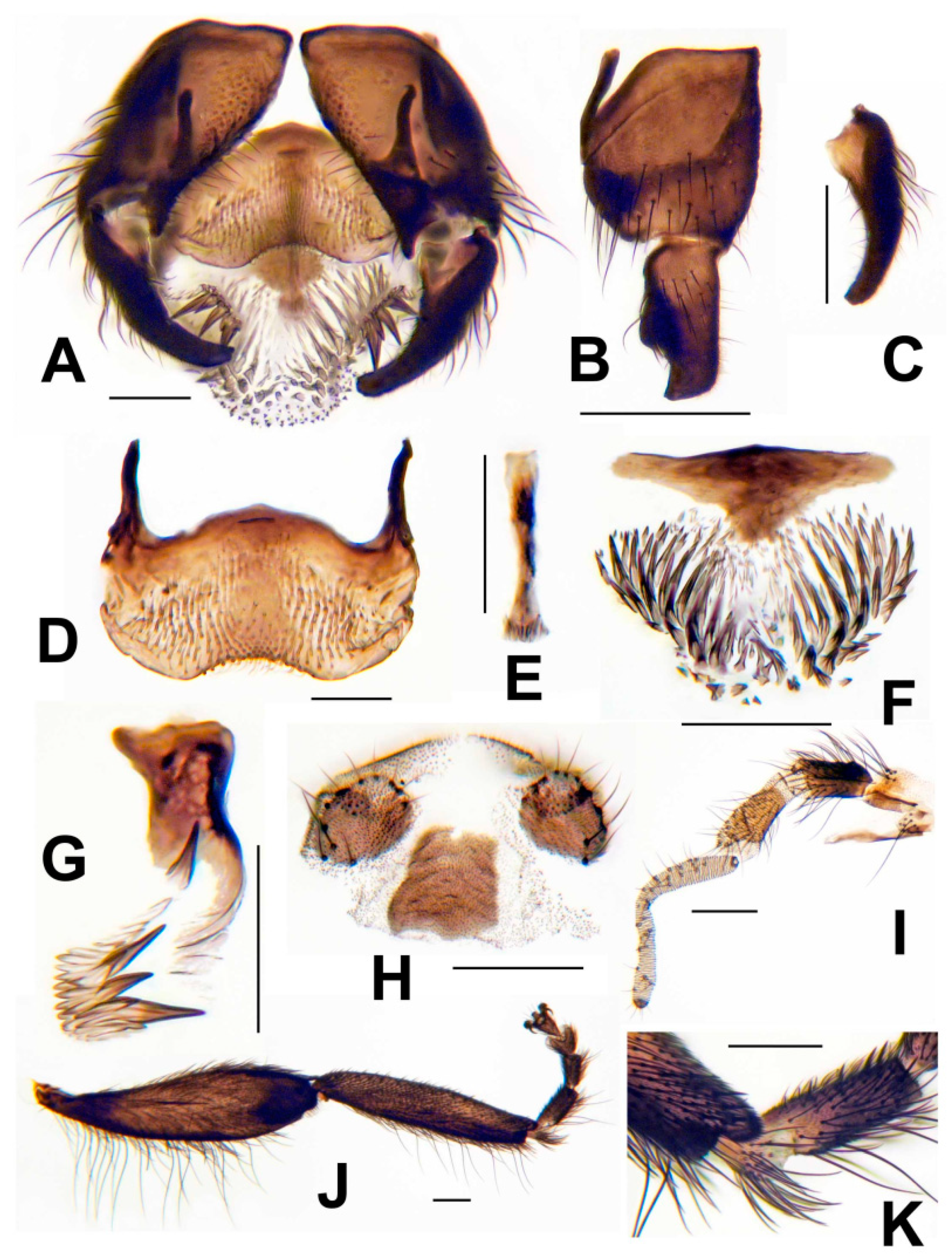 Insects 13 00903 g009 Insects 13 00903 g009