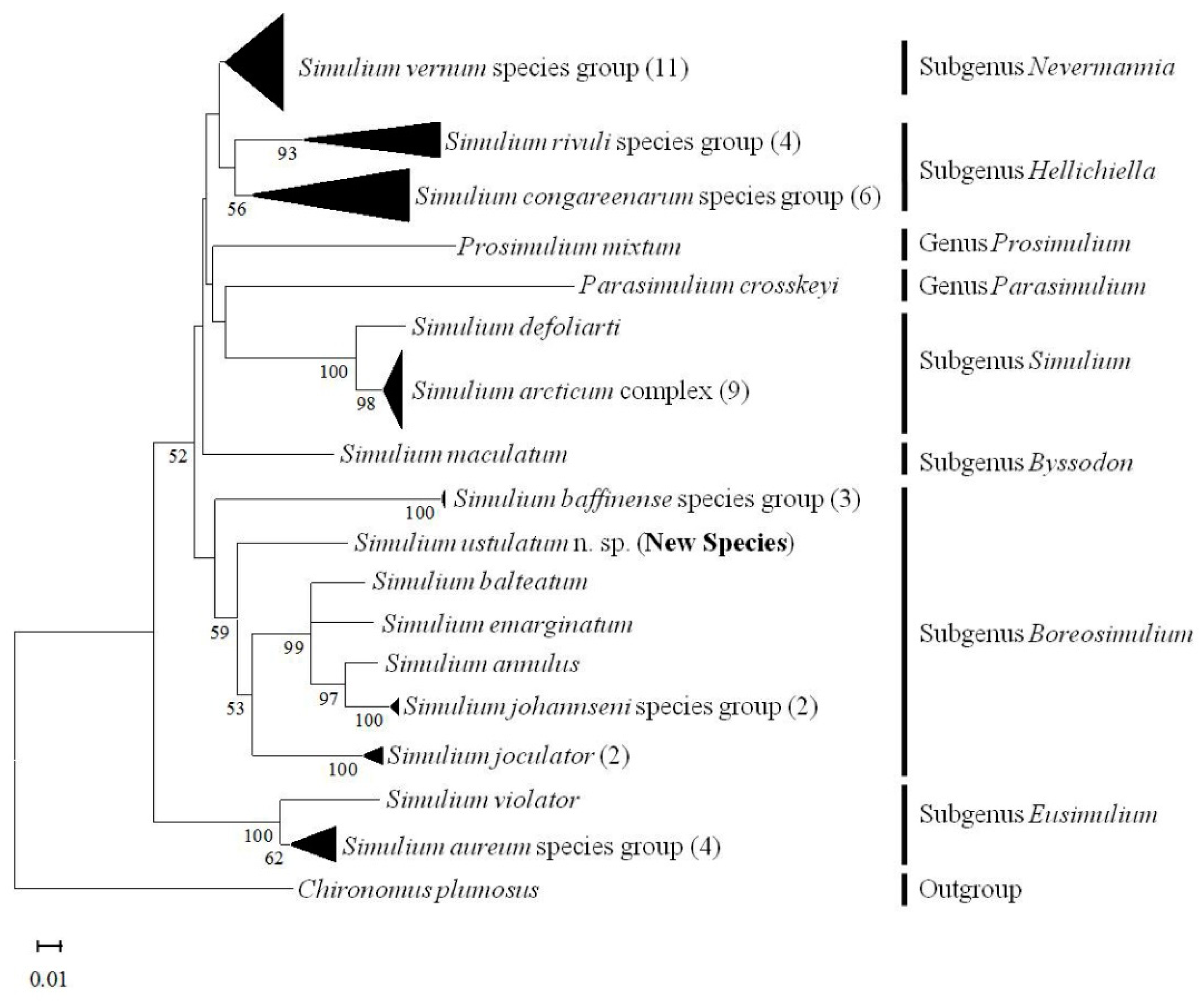 Insects 13 00903 g012 Insects 13 00903 g012