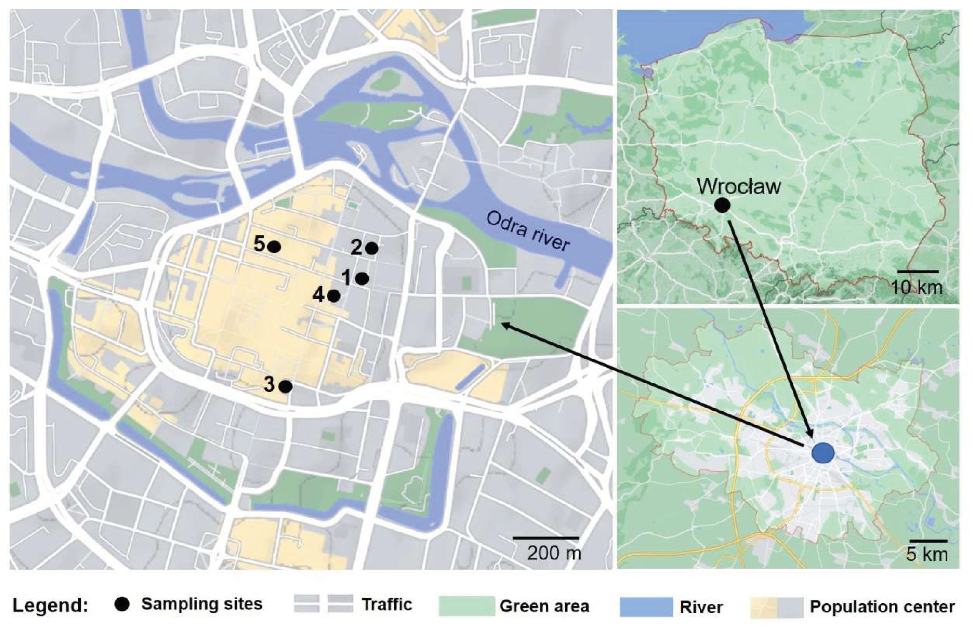 Insects 13 00904 g001