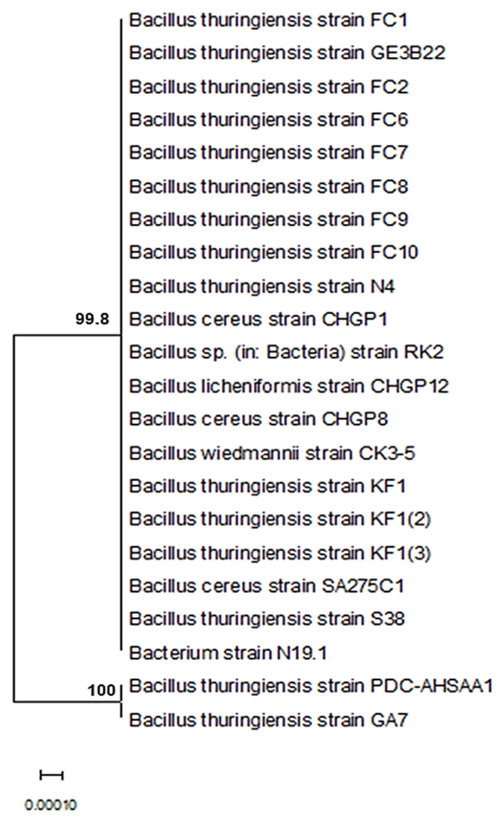 Insects 13 00905 g001 Insects 13 00905 g001