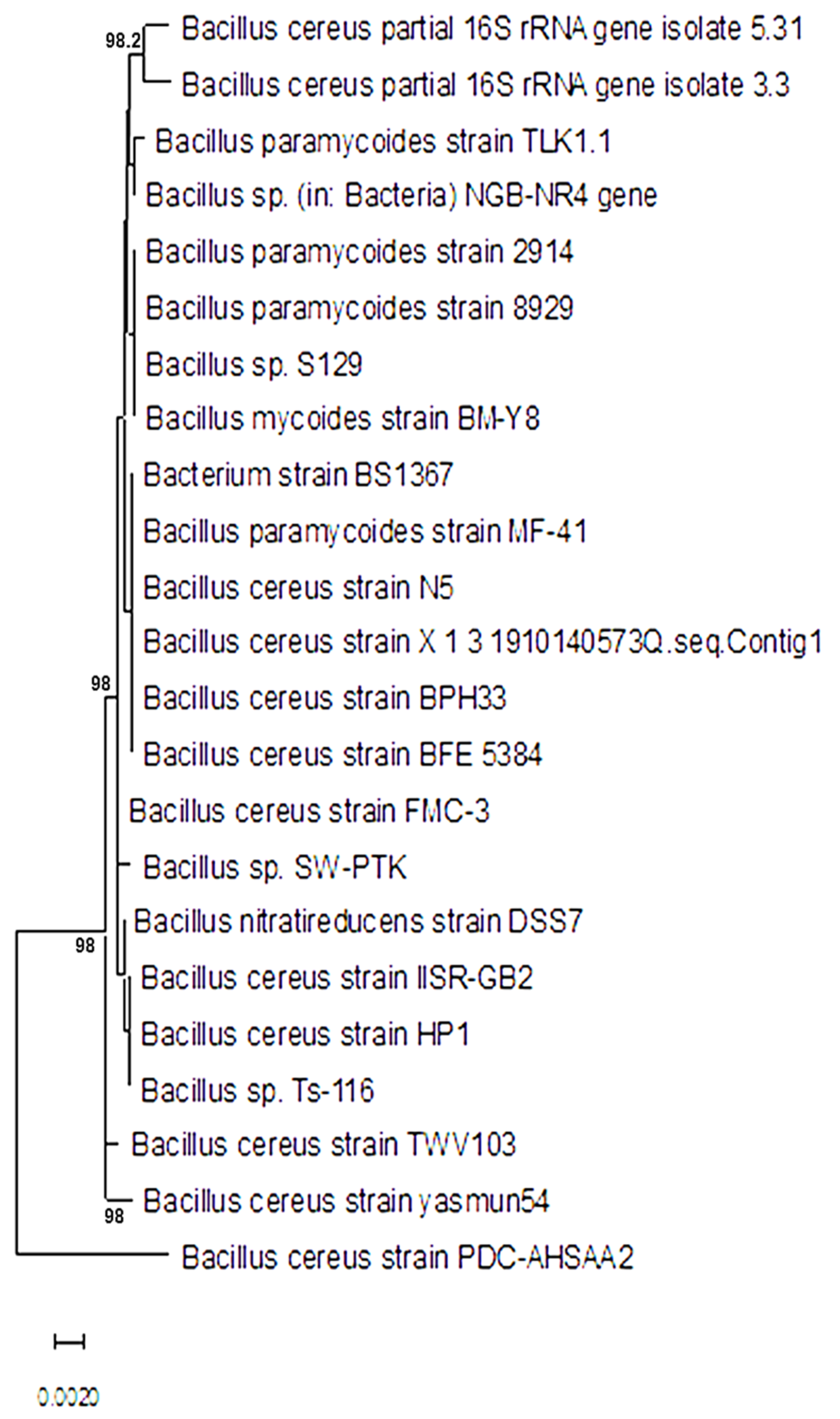 Insects 13 00905 g002 Insects 13 00905 g002
