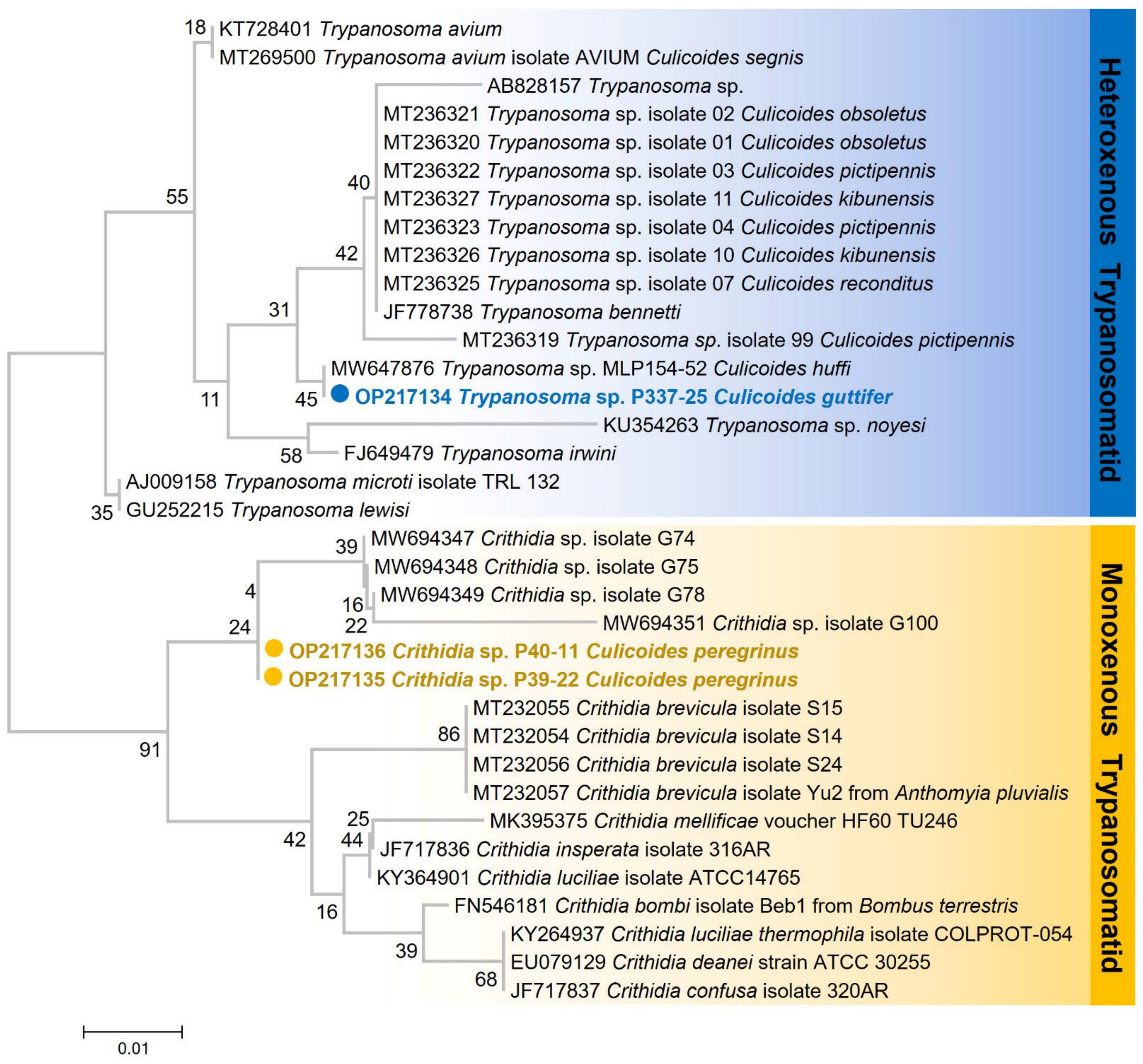 Insects 13 00912 g006 Insects 13 00912 g006