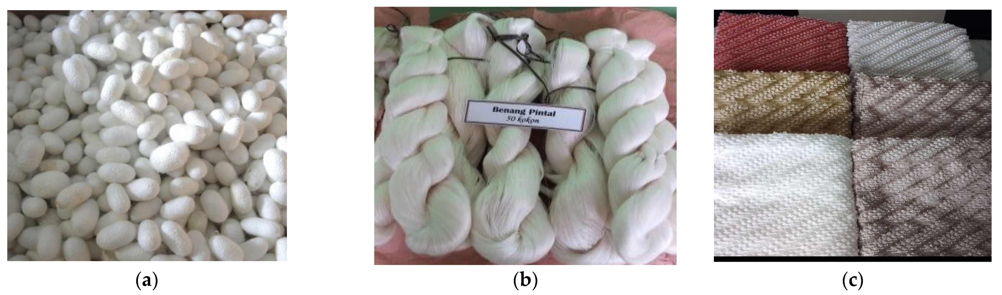 Insects 13 00913 g005