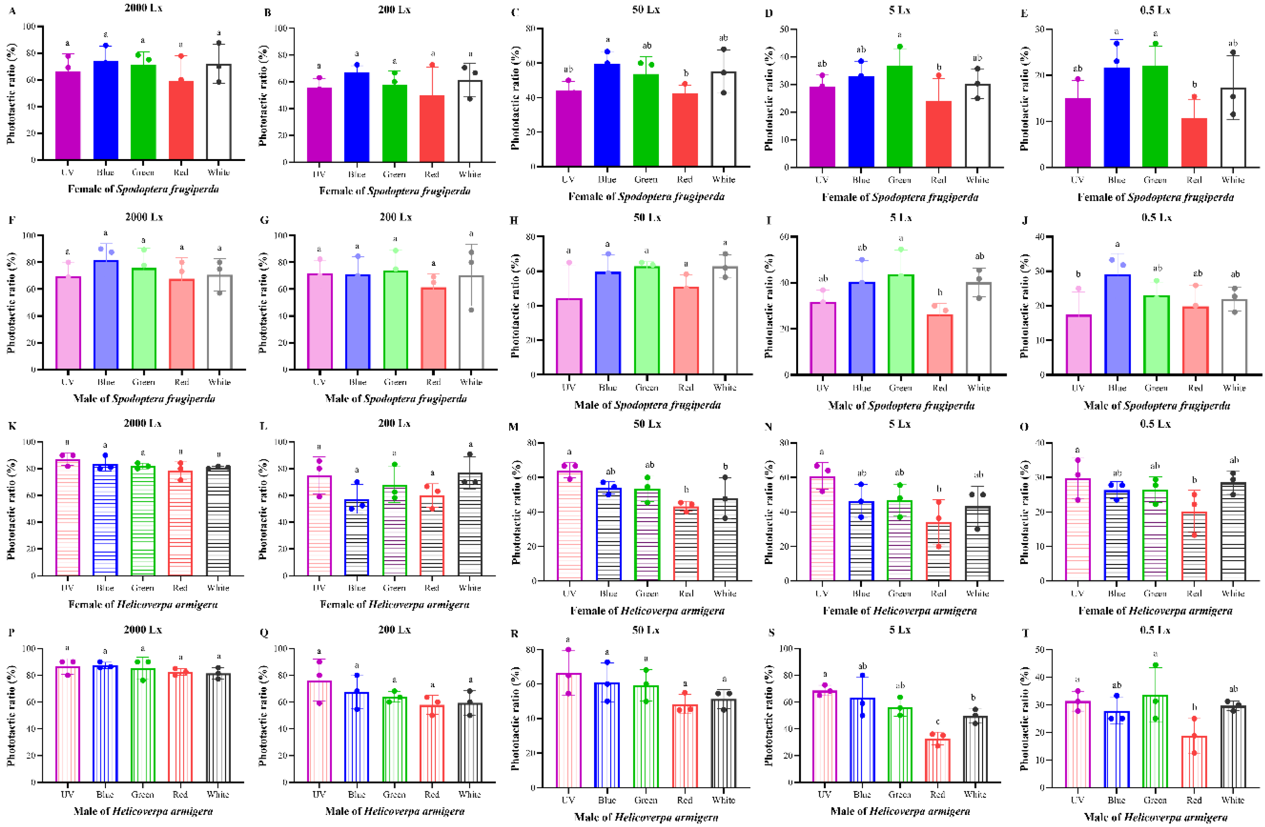 Insects 13 00917 g001