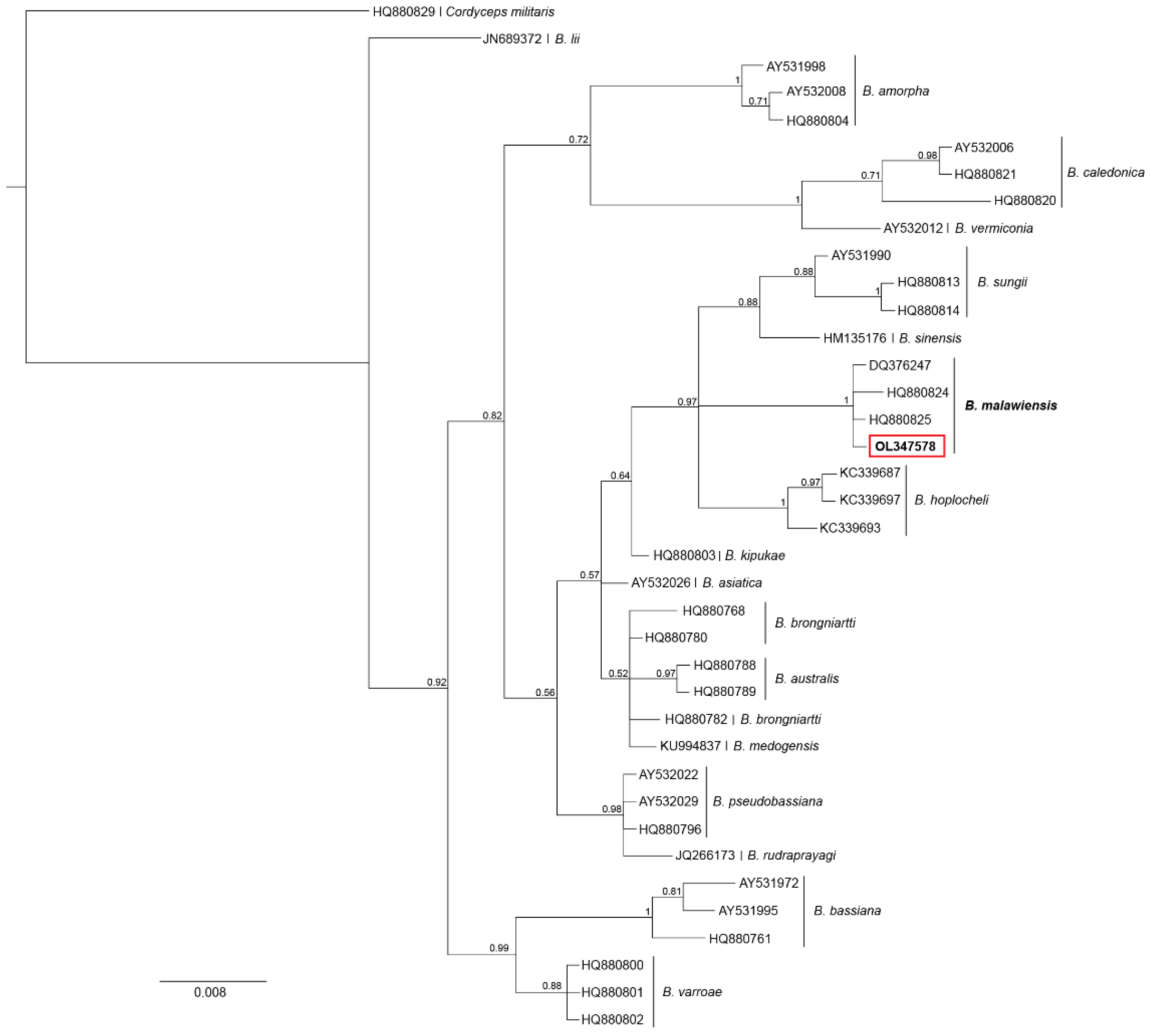 Insects 13 00922 g003 Insects 13 00922 g003