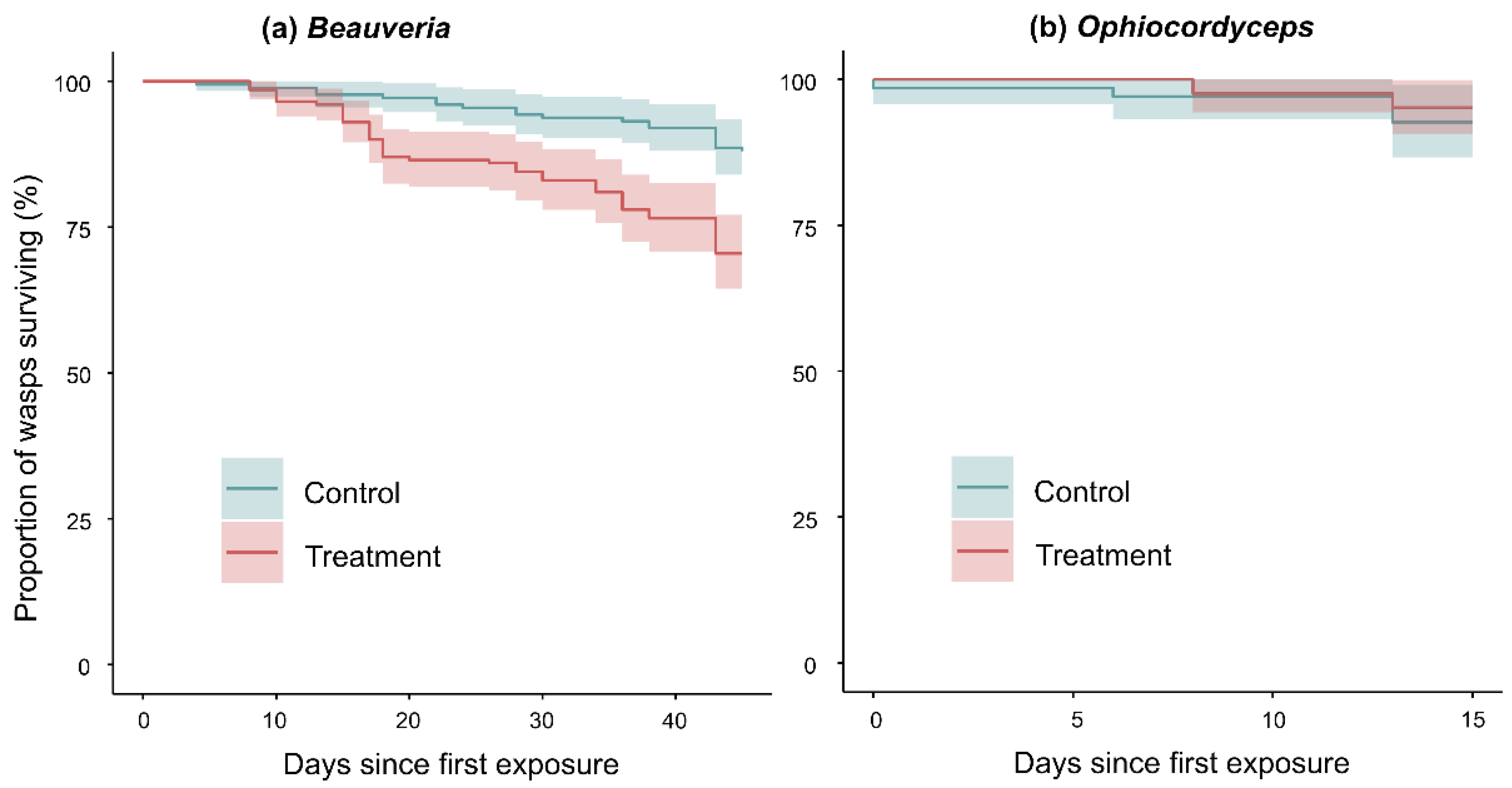 Insects 13 00922 g006 Insects 13 00922 g006