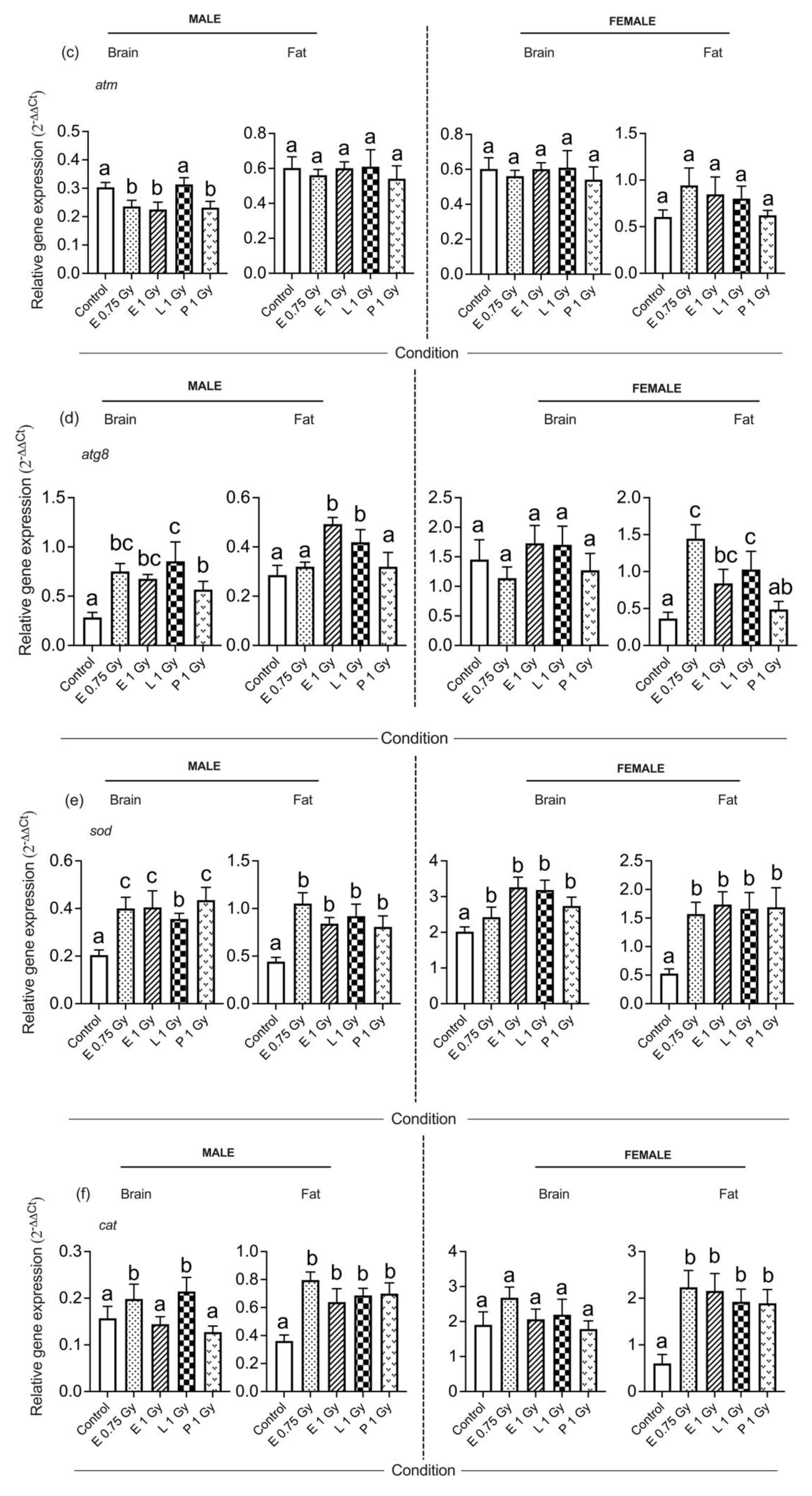 Insects 13 00933 g003b