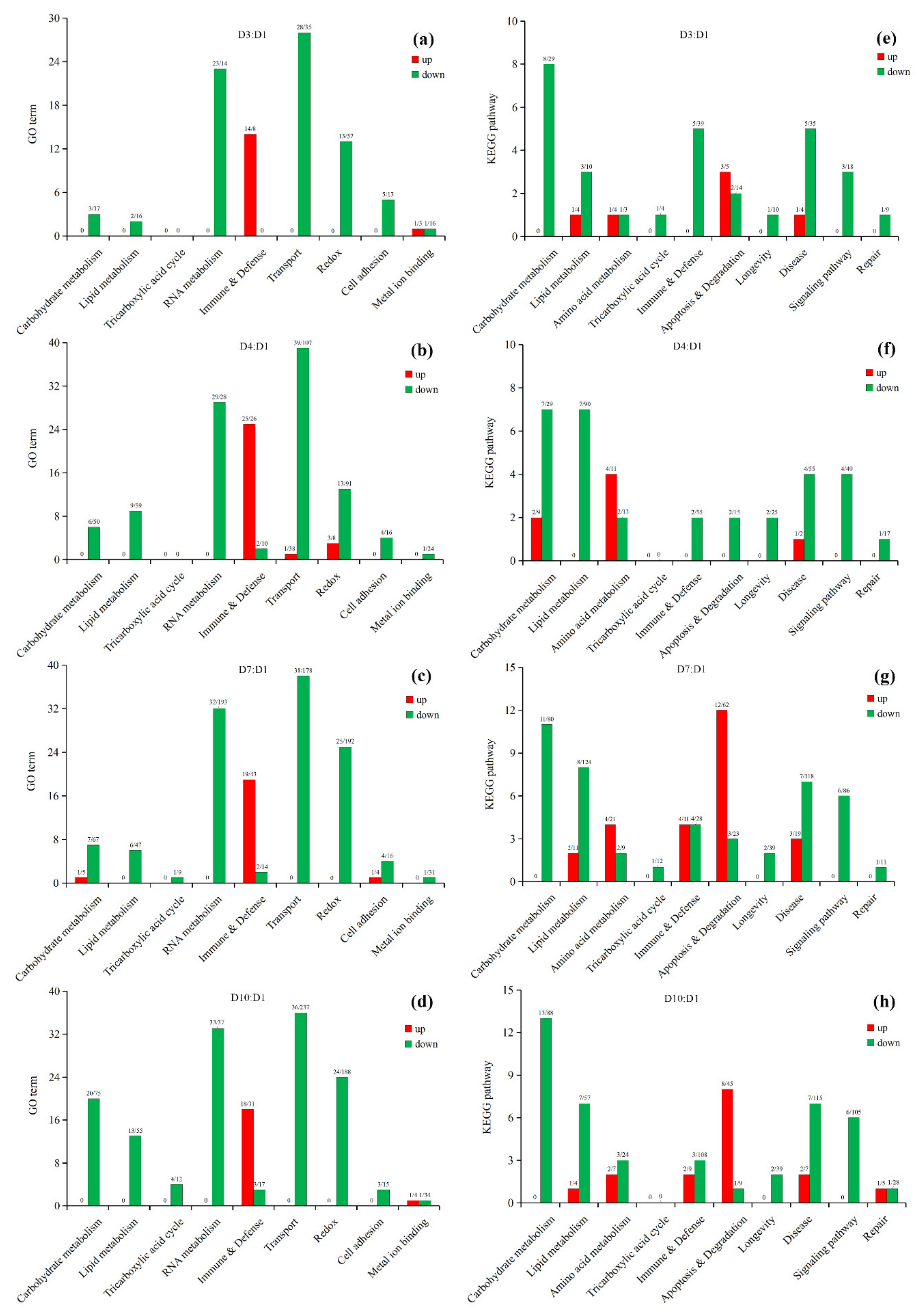 Insects 13 00936 g004