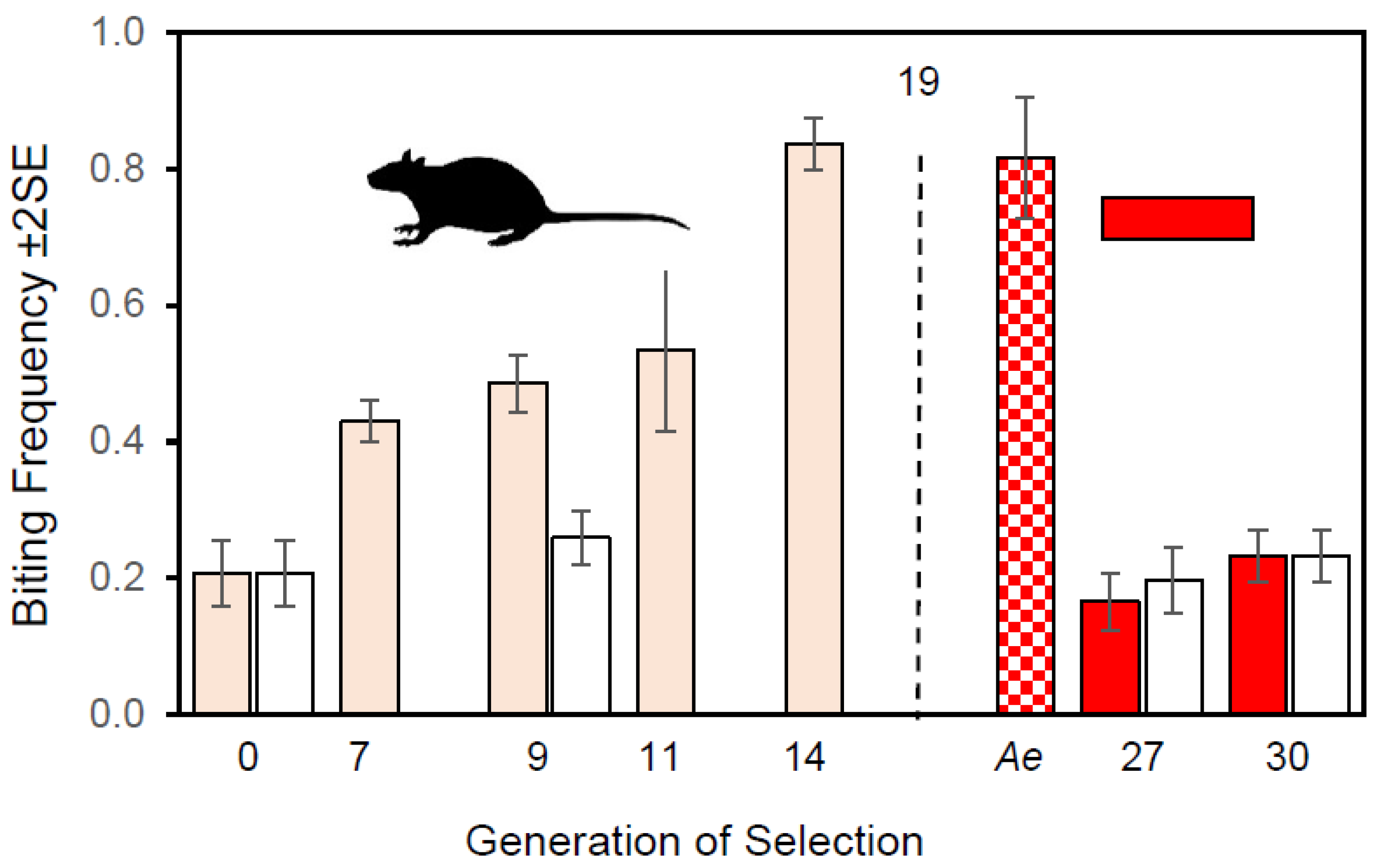 Insects 13 00939 g004