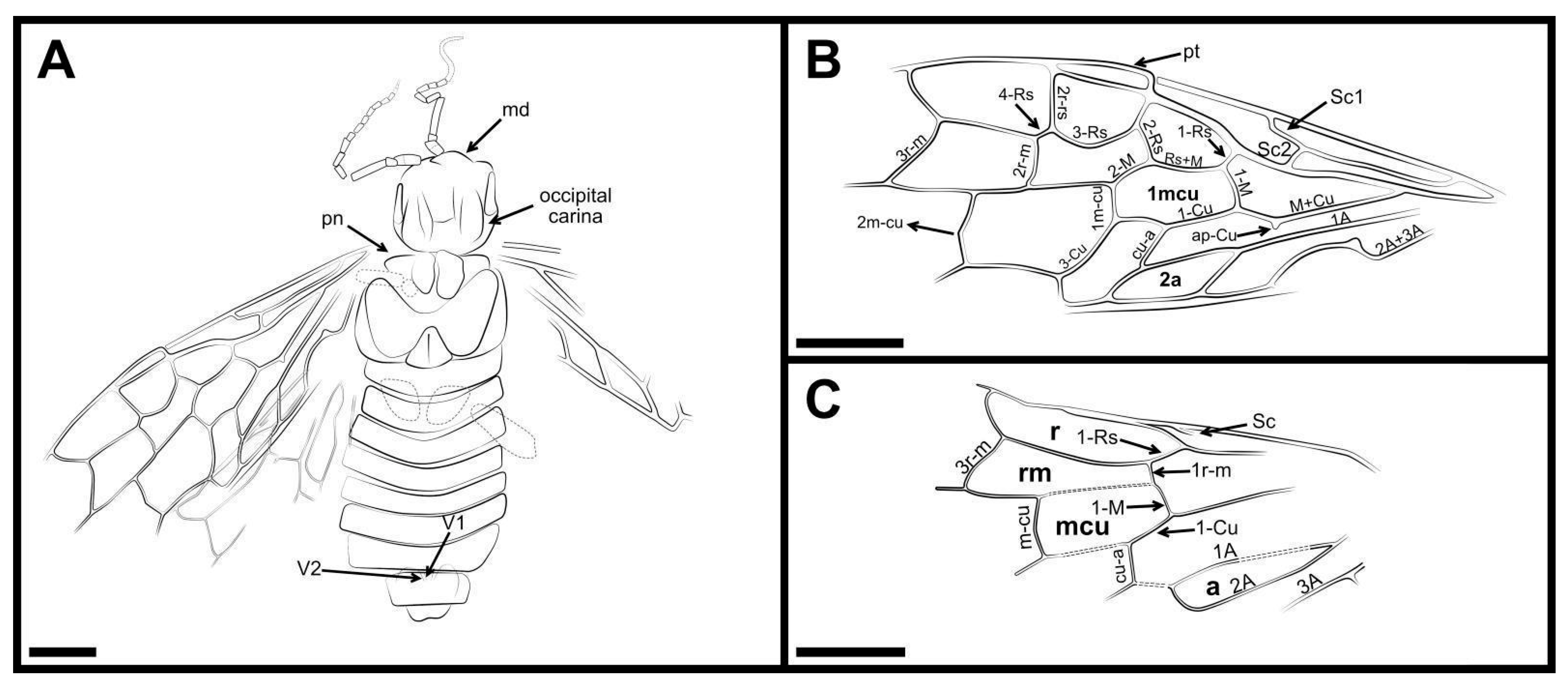 Insects 13 00947 g002 Insects 13 00947 g002