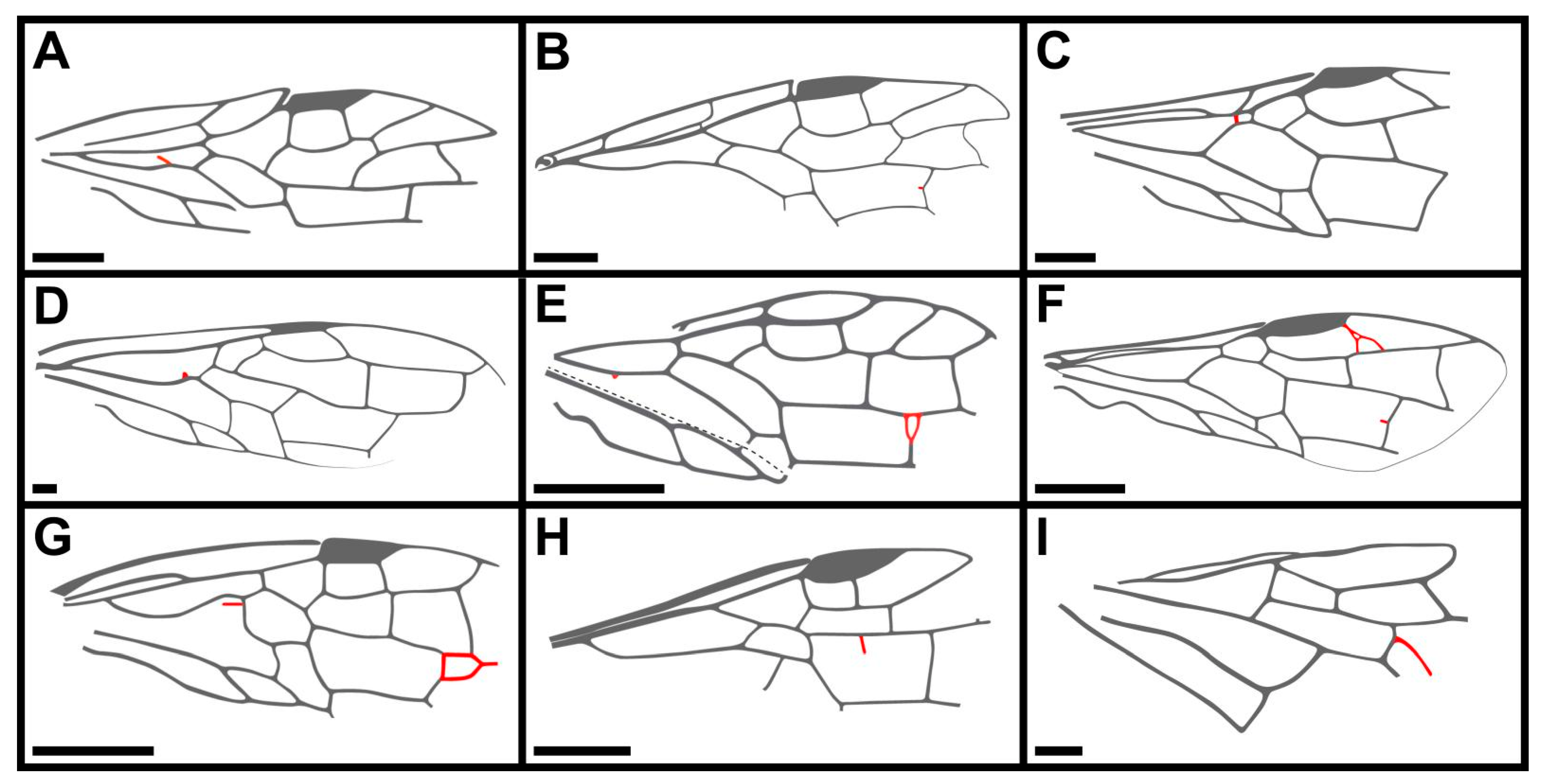 Insects 13 00947 g006 Insects 13 00947 g006
