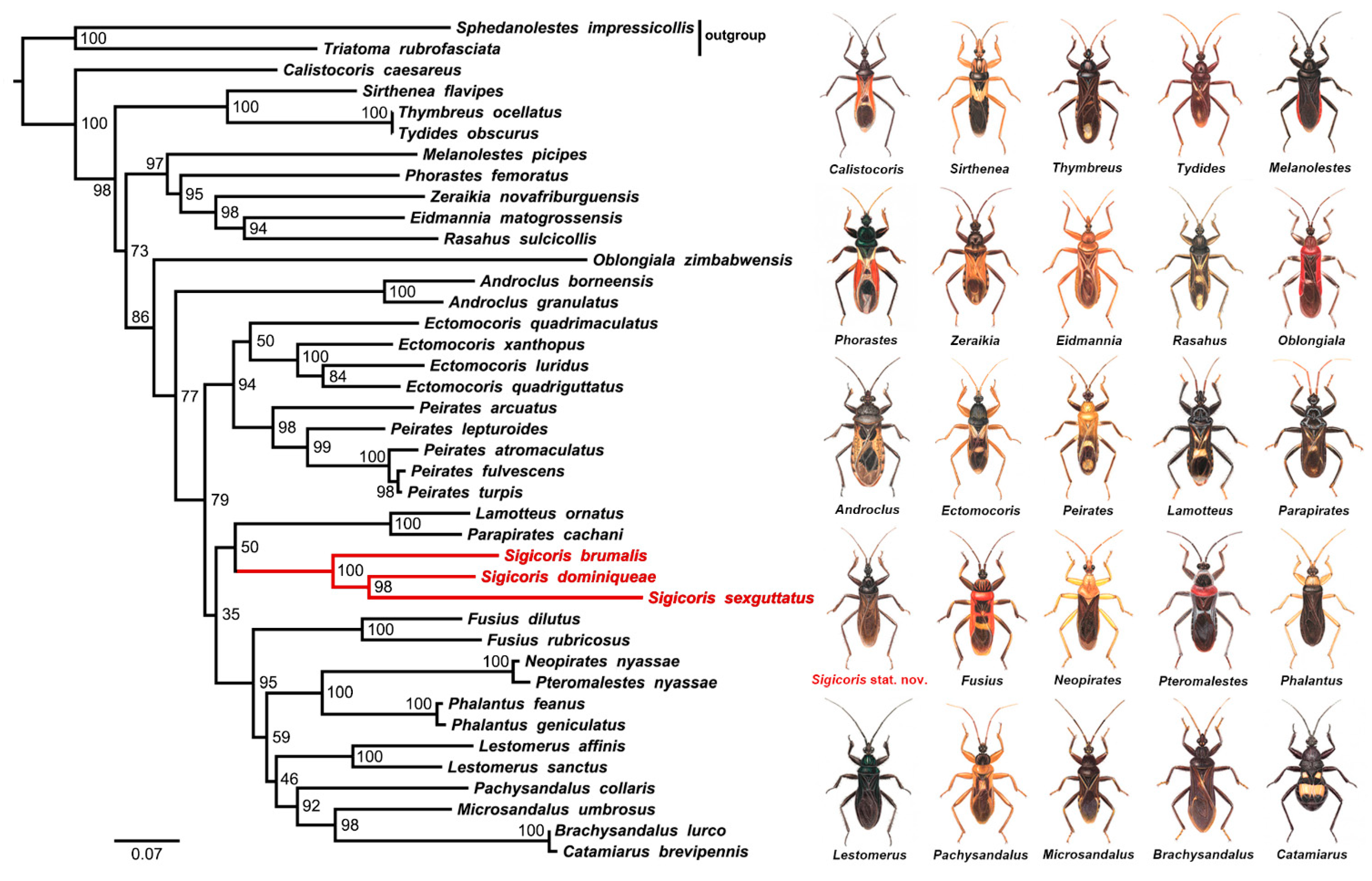 Insects 13 00951 g001