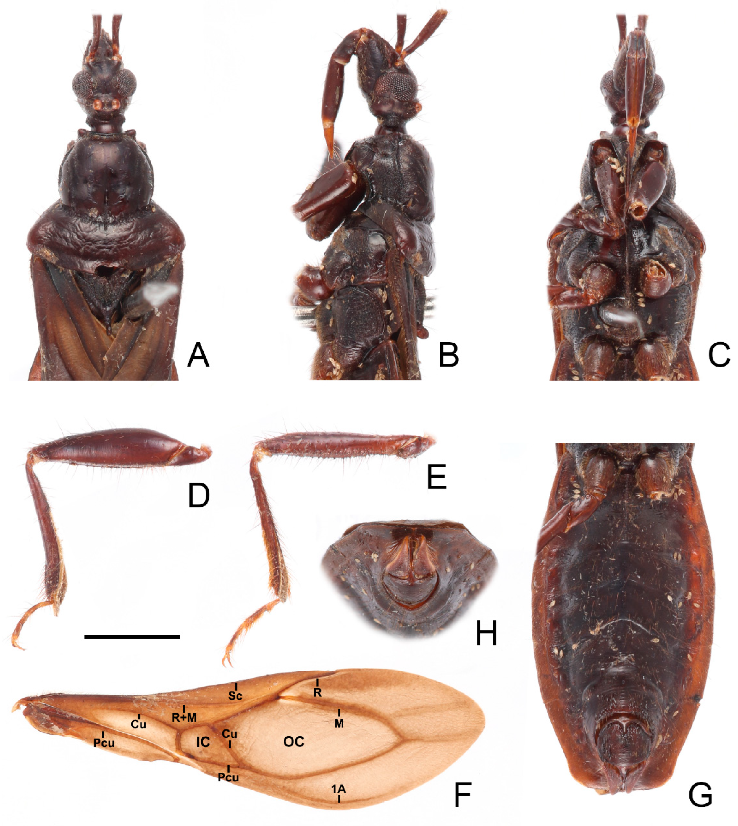 Insects 13 00951 g004