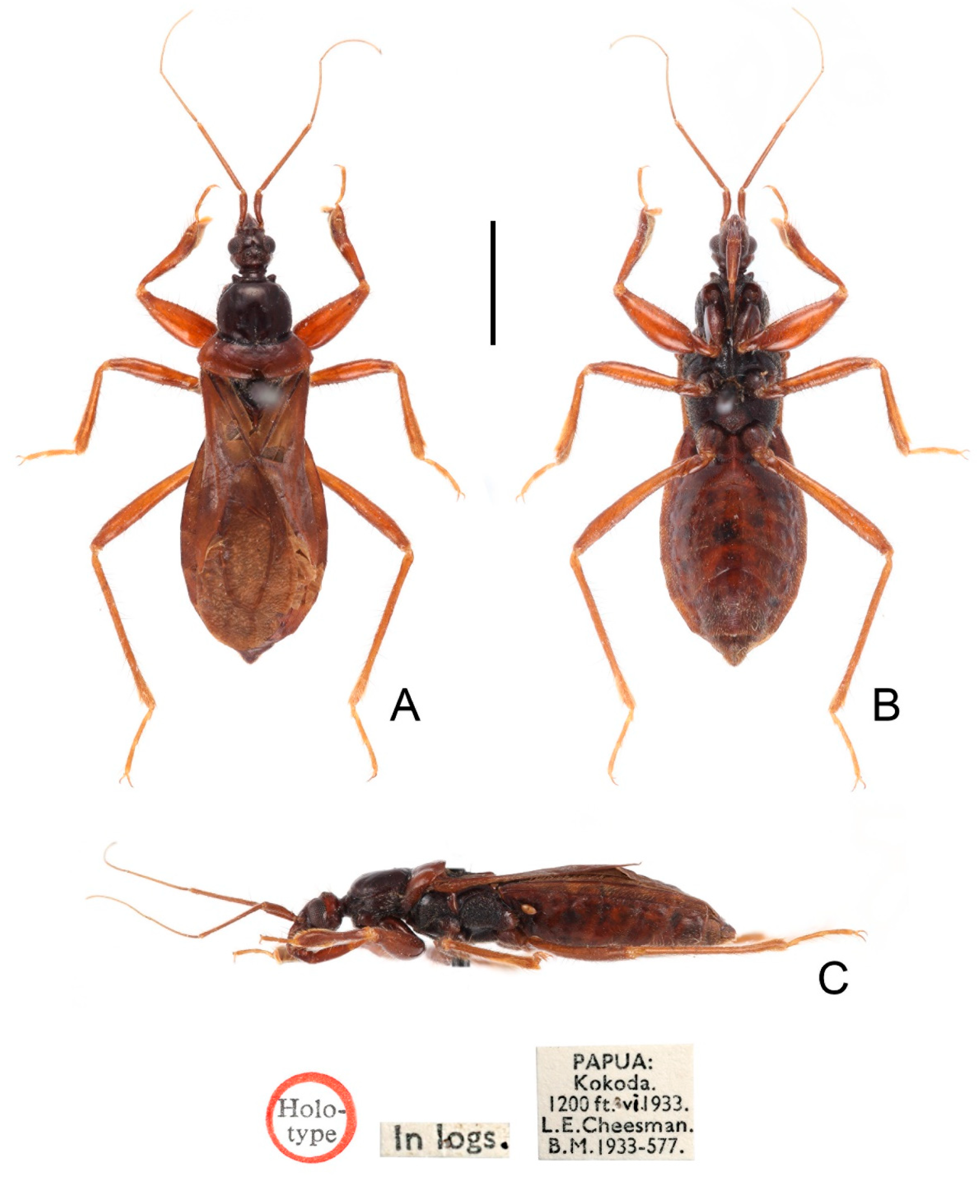 Insects 13 00951 g006