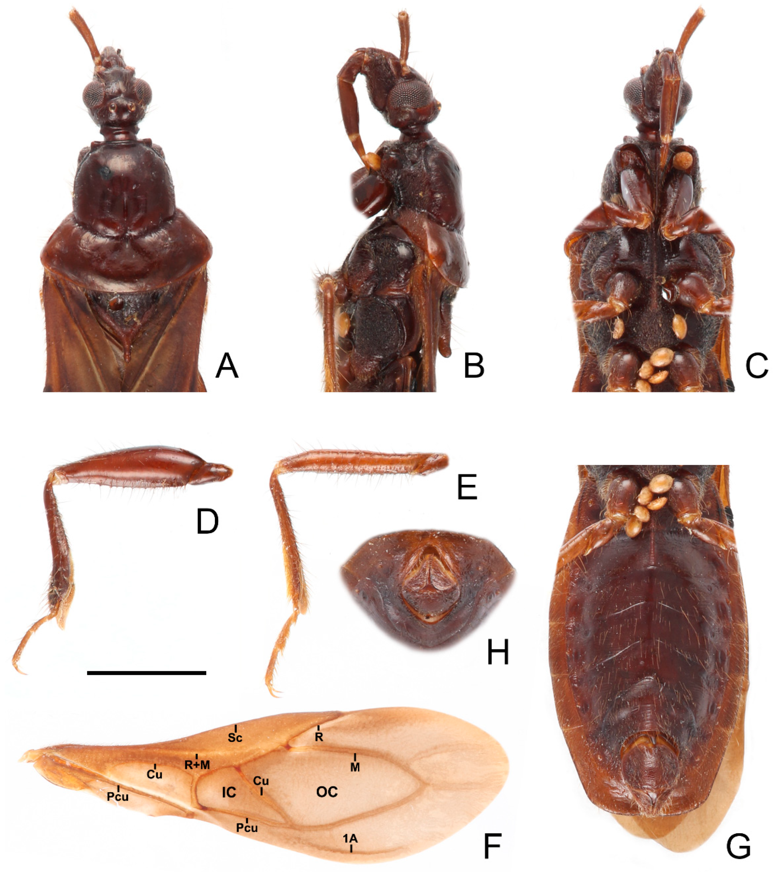 Insects 13 00951 g008