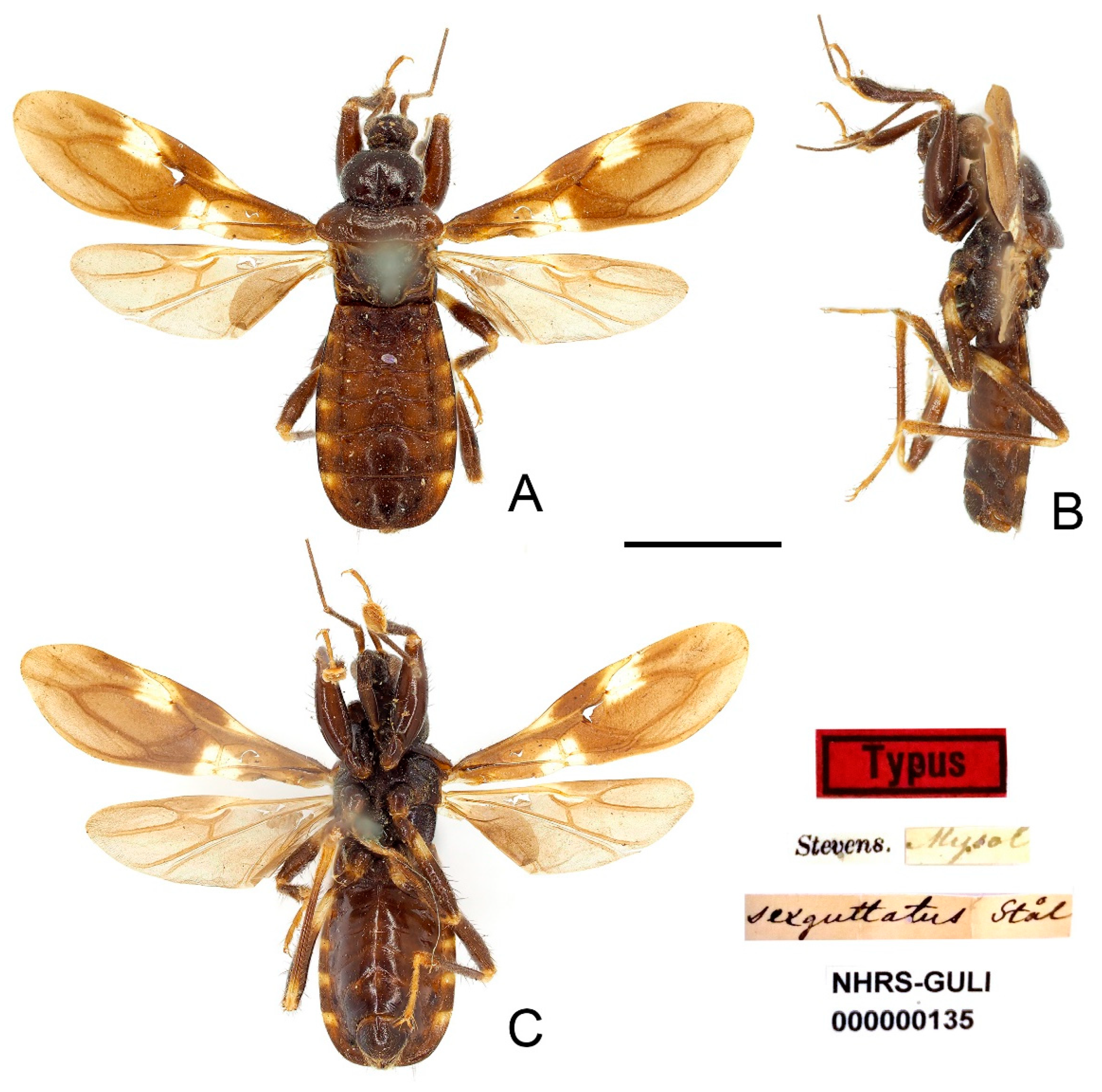 Insects 13 00951 g013