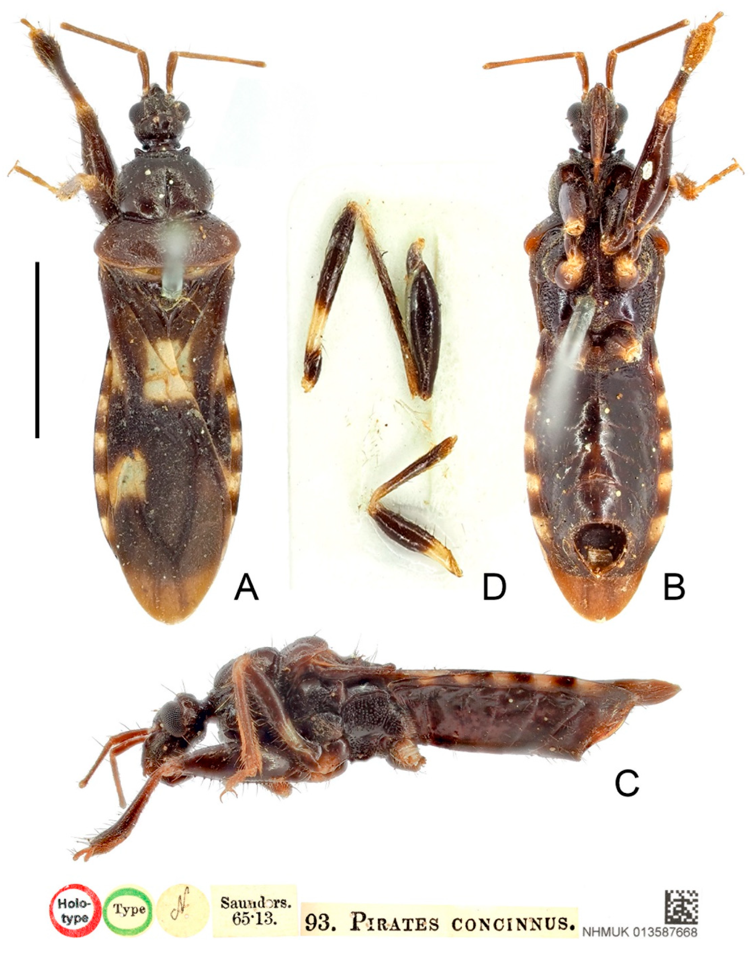 Insects 13 00951 g014