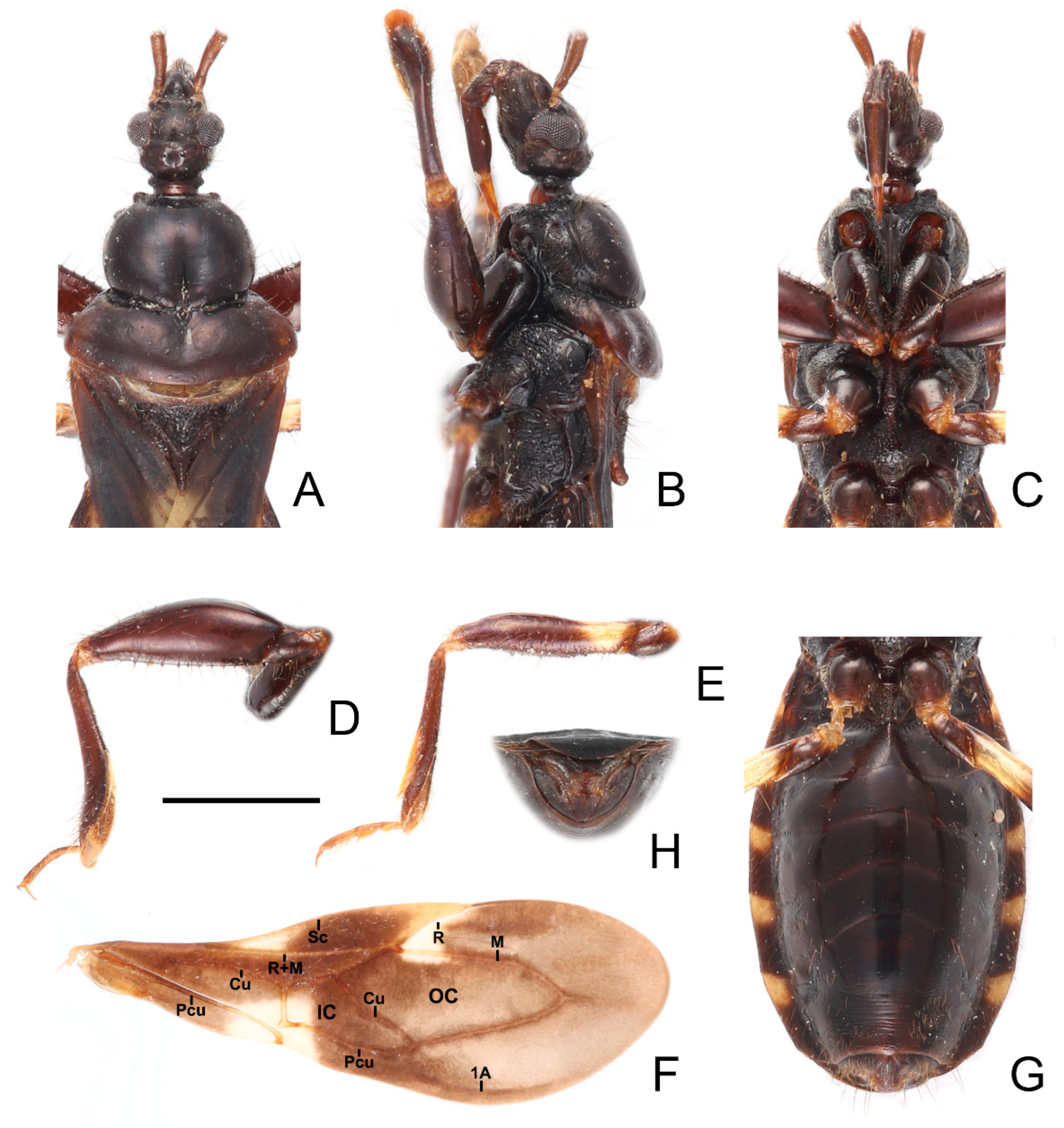 Insects 13 00951 g016