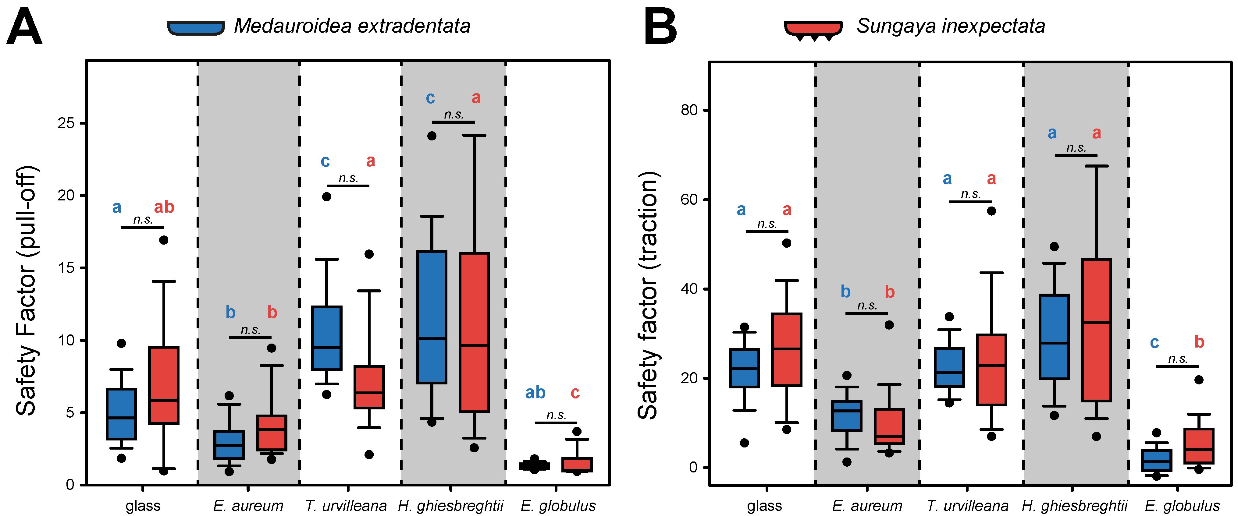 Insects 13 00952 g004 Insects 13 00952 g004