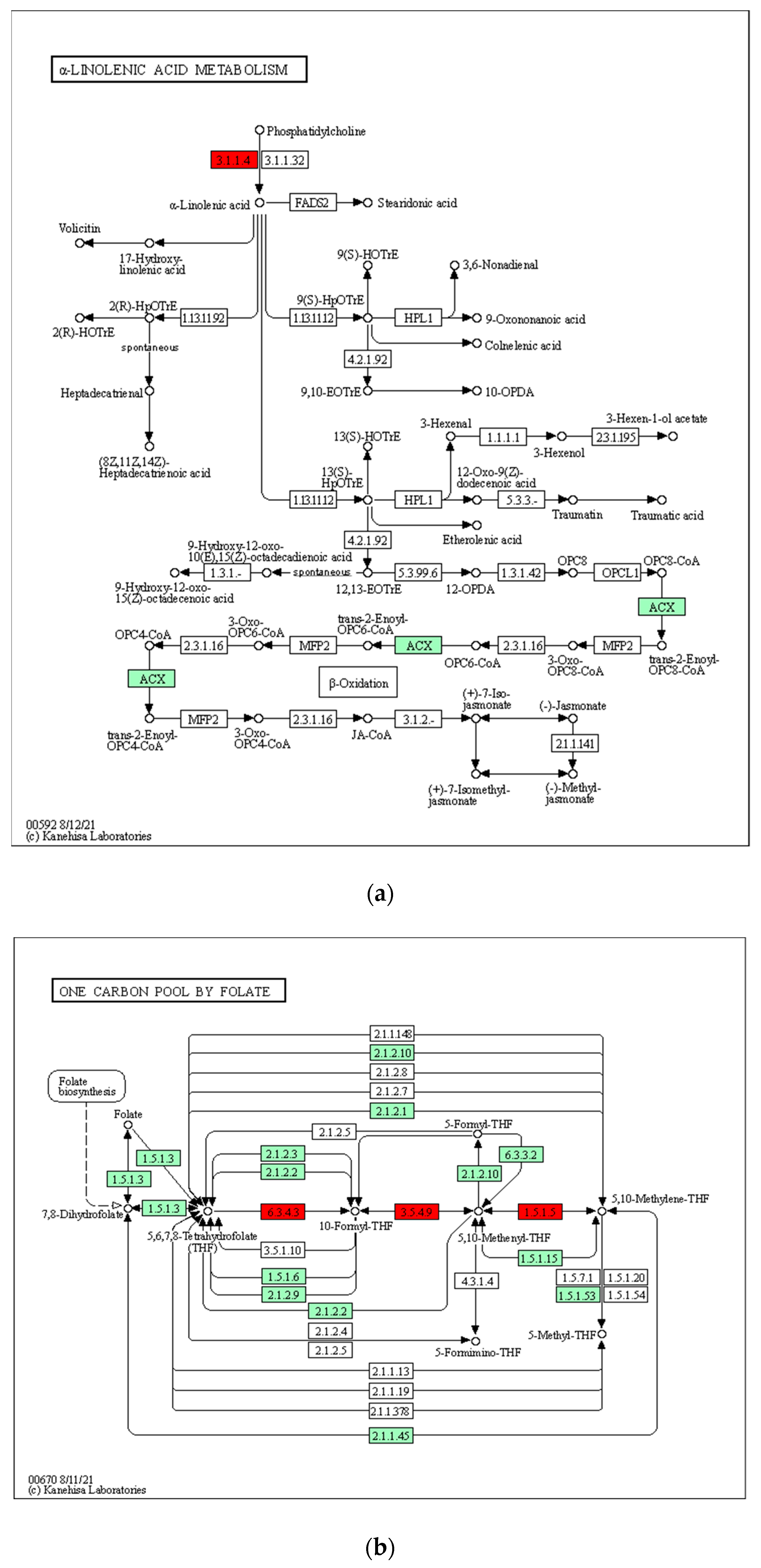 Insects 13 00953 g005