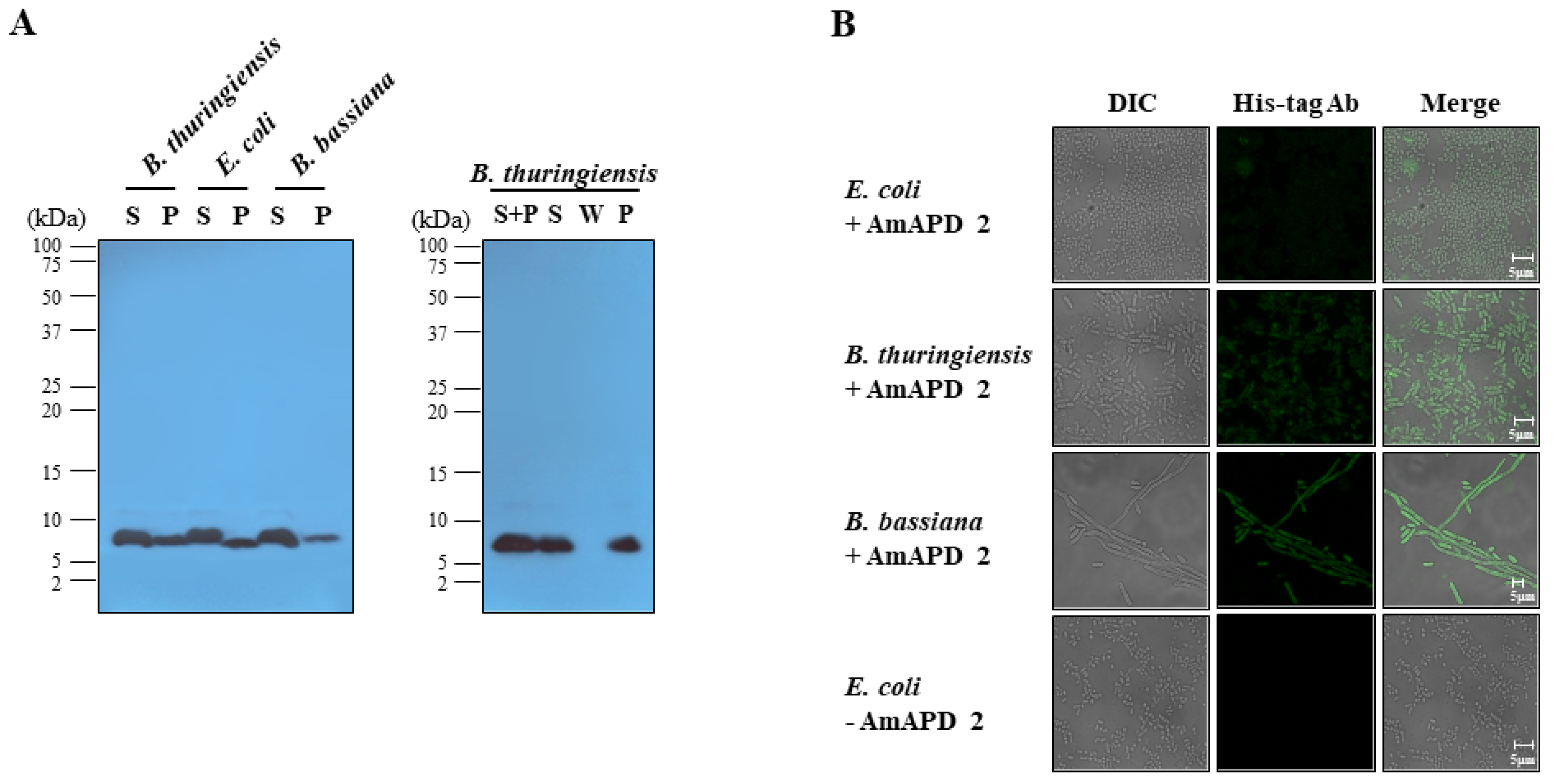 Insects 13 00958 g004 Insects 13 00958 g004