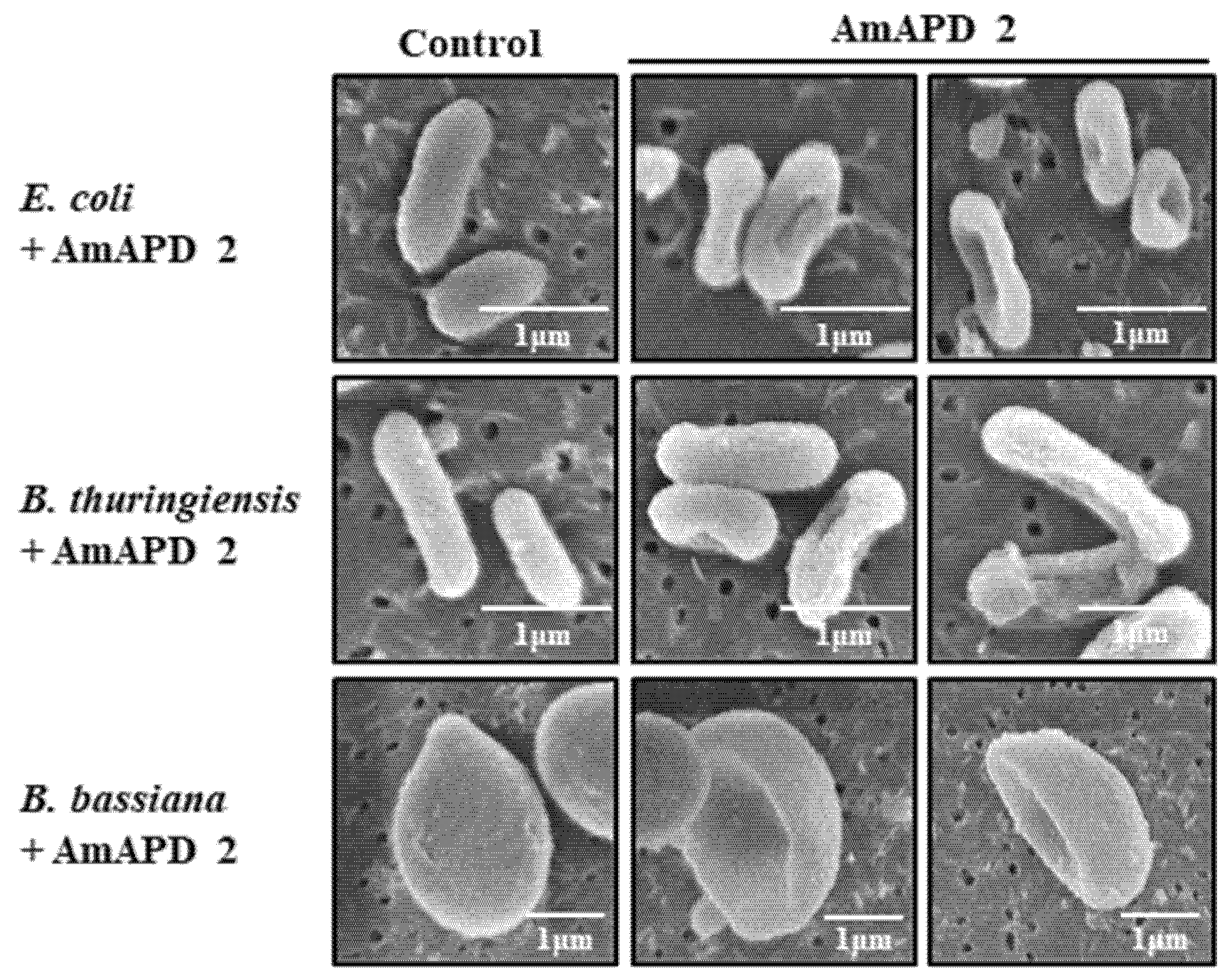 Insects 13 00958 g005 Insects 13 00958 g005