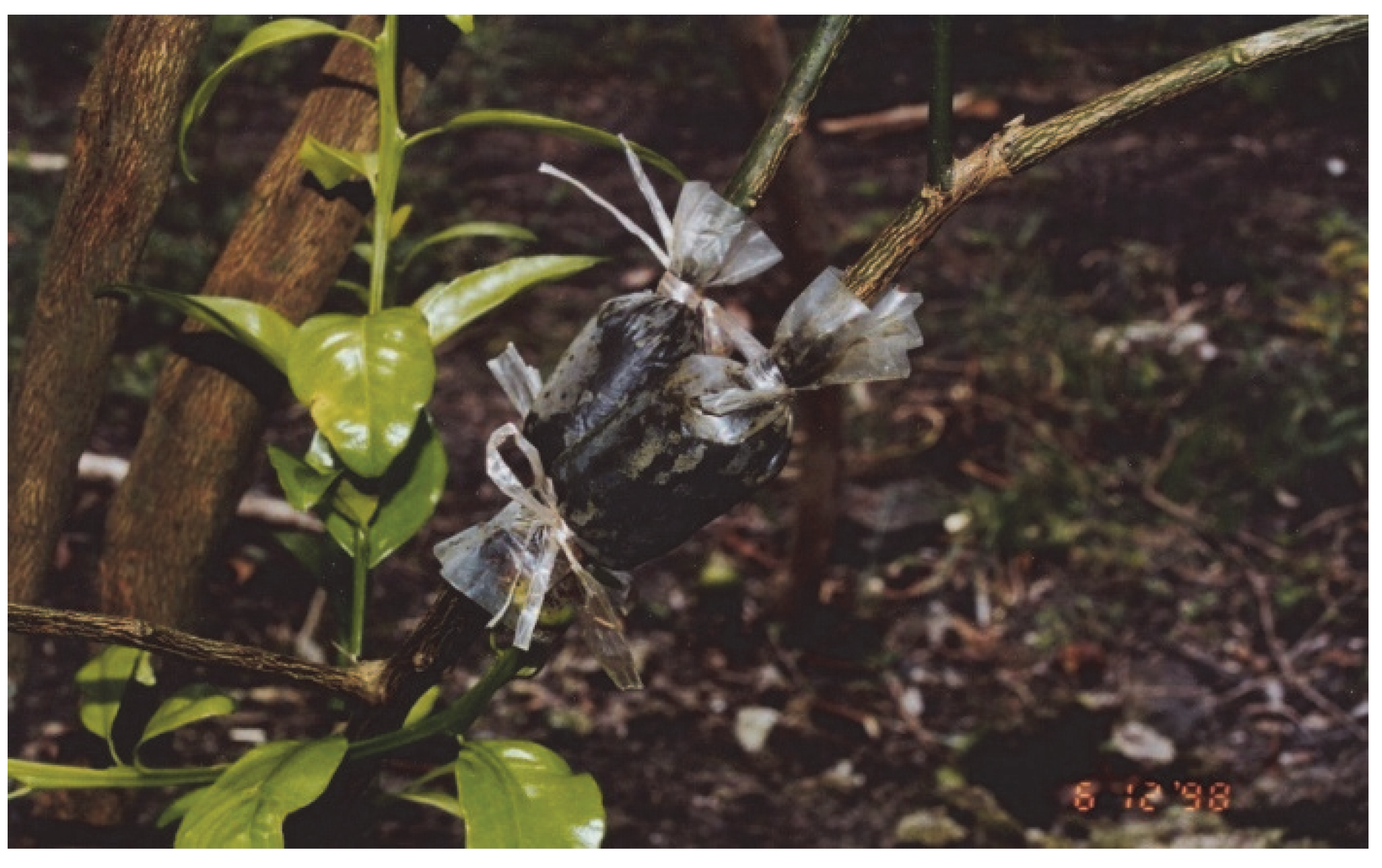 Insects 13 00960 g001 Insects 13 00960 g001