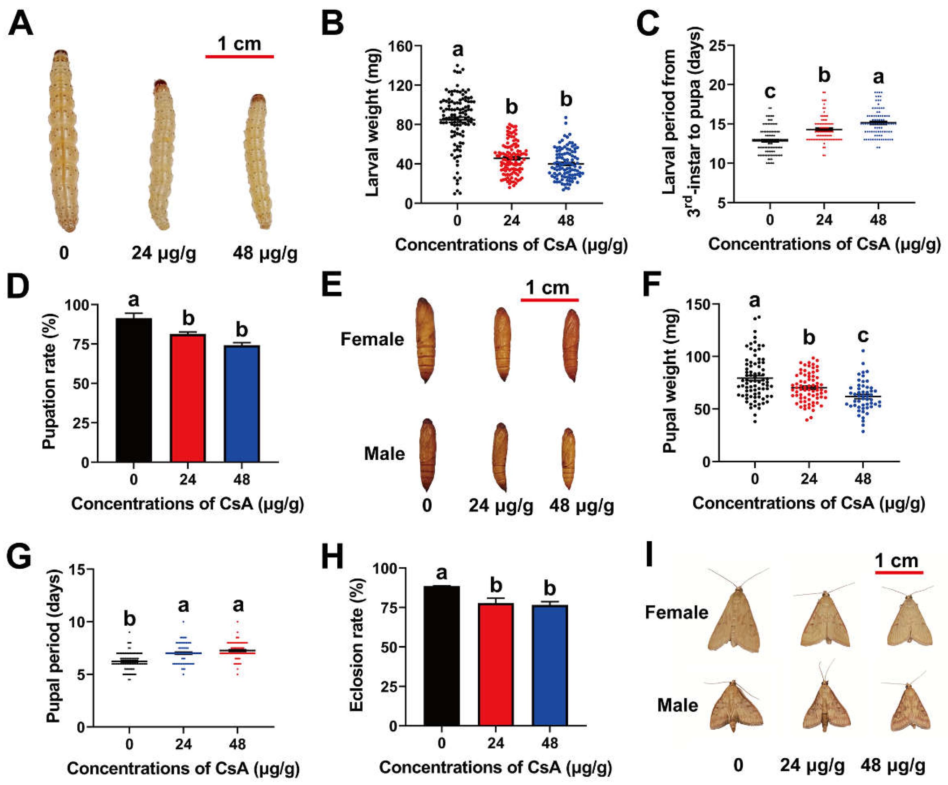 Insects 13 00965 g001 Insects 13 00965 g001