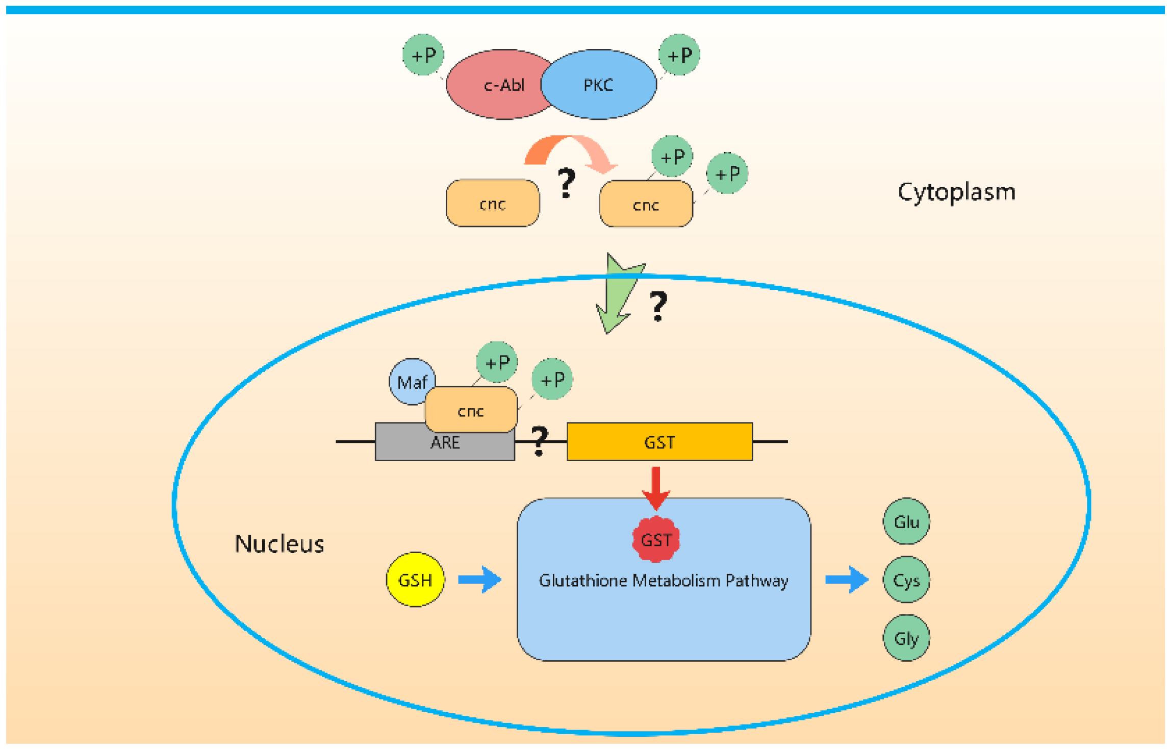 Insects 13 00967 g007 Insects 13 00967 g007