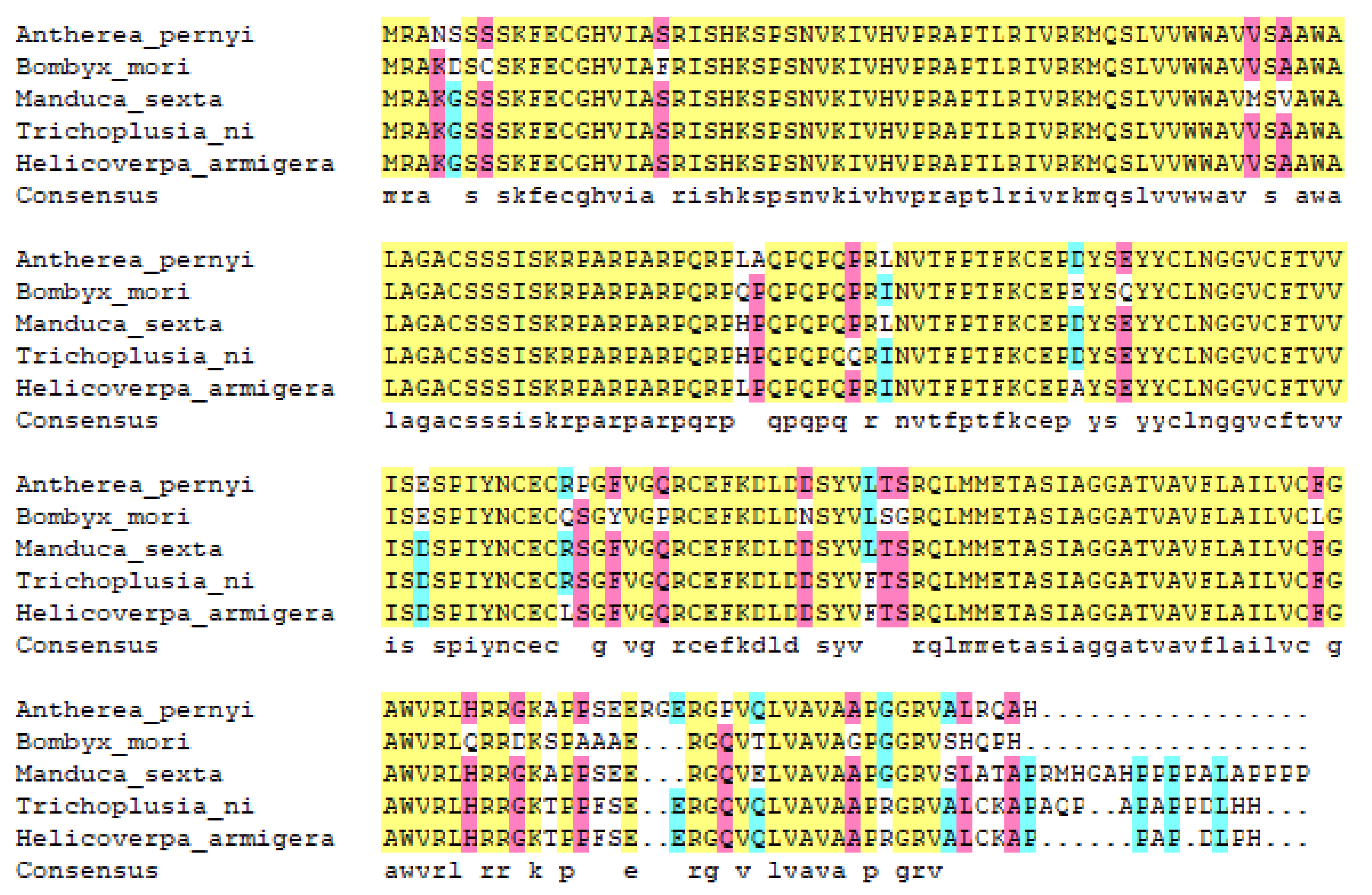 Insects 13 00975 g002