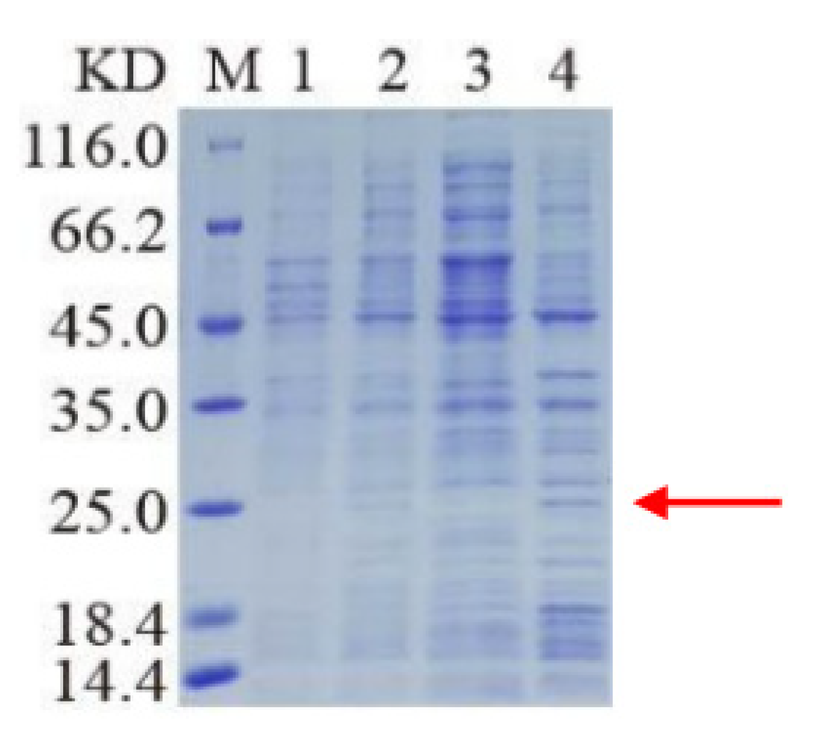 Insects 13 00975 g003