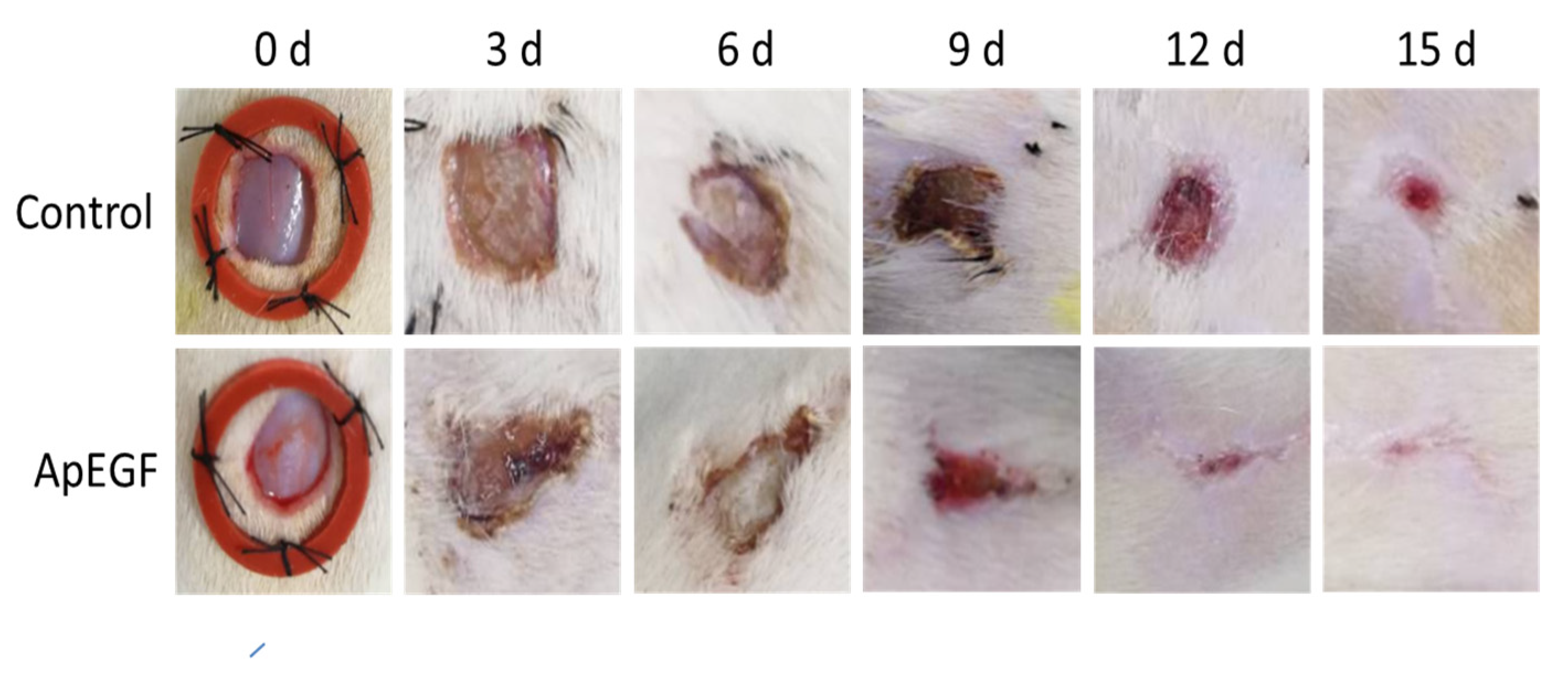 Insects 13 00975 g006