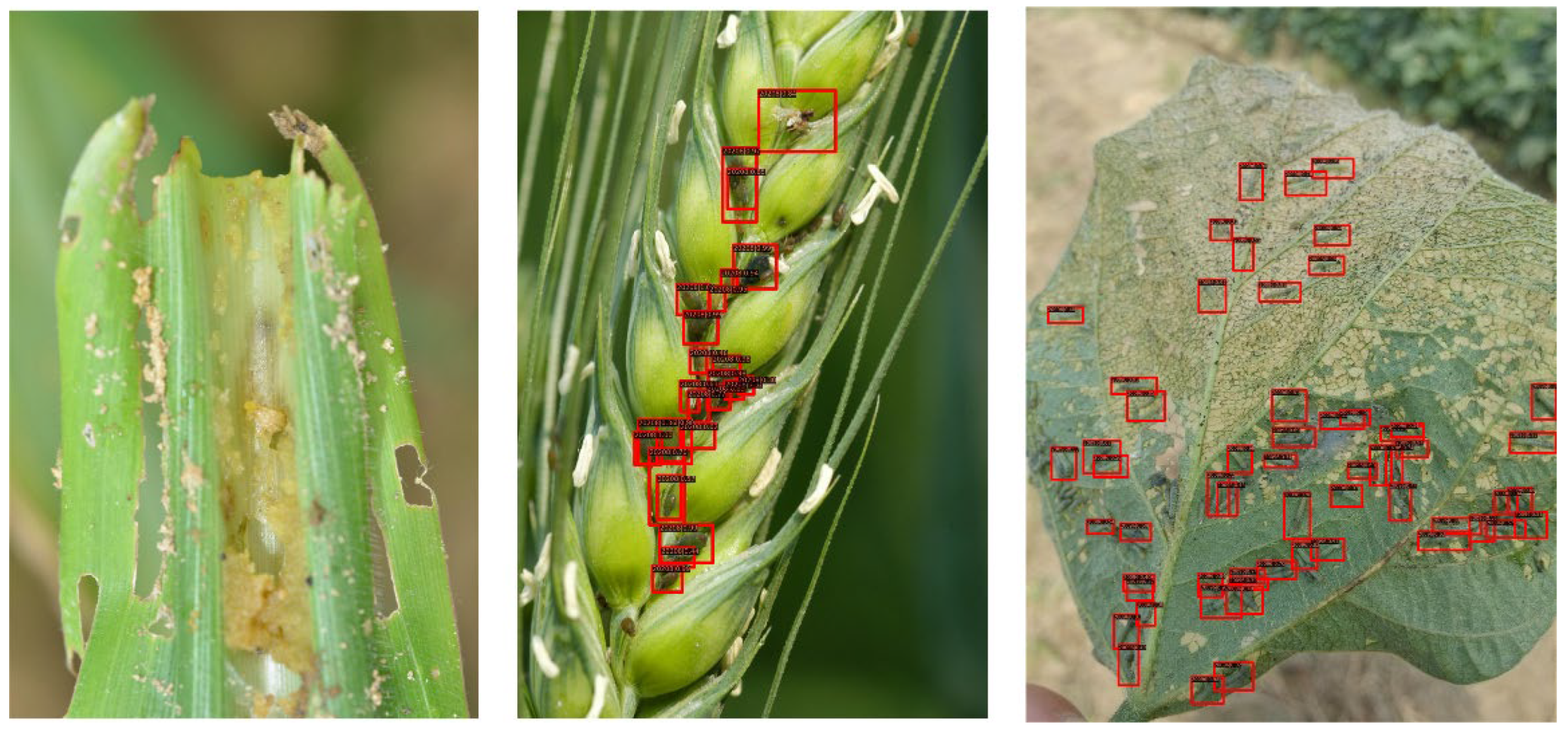 Insects 13 00978 g006