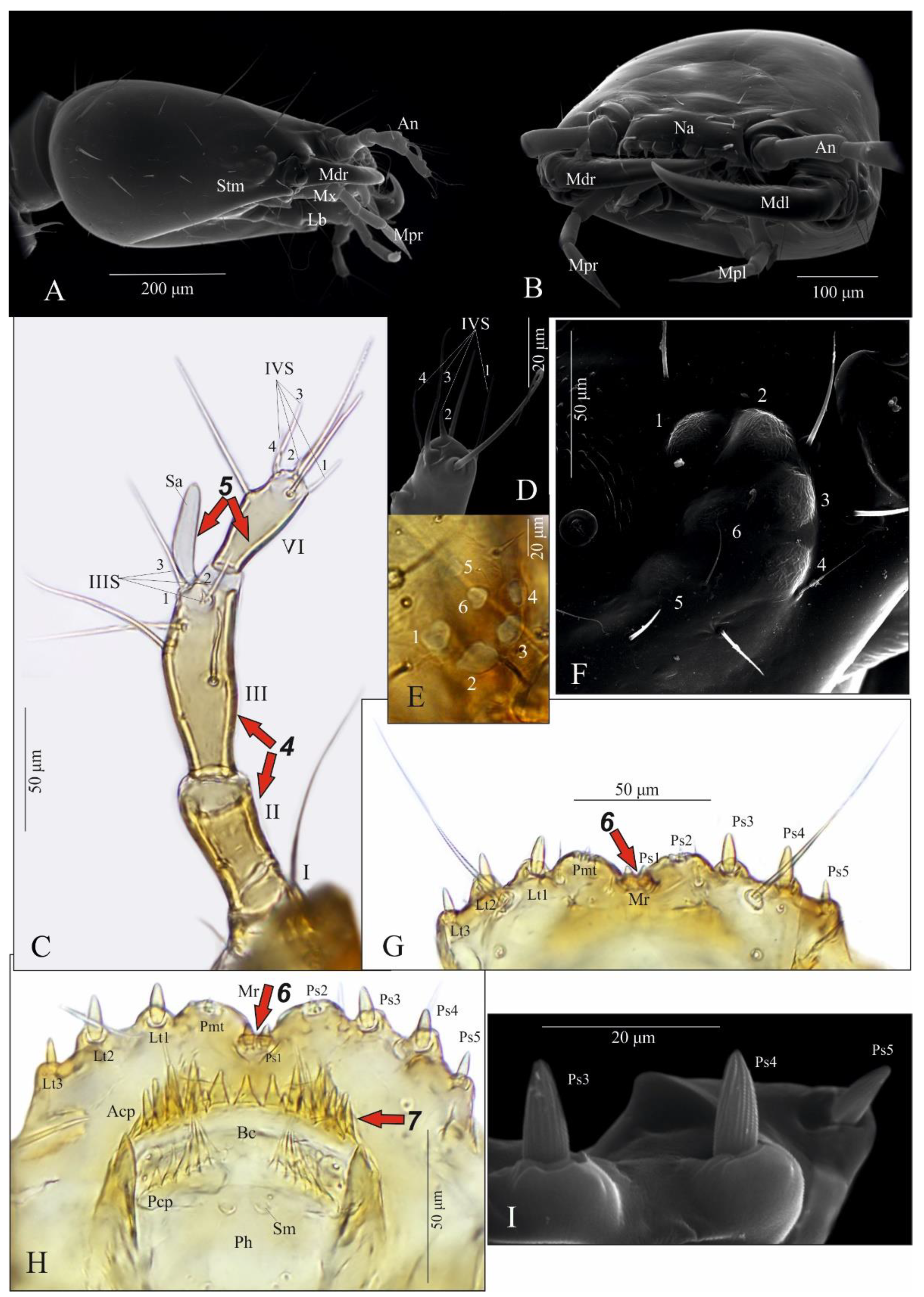 Insects 13 00982 g003
