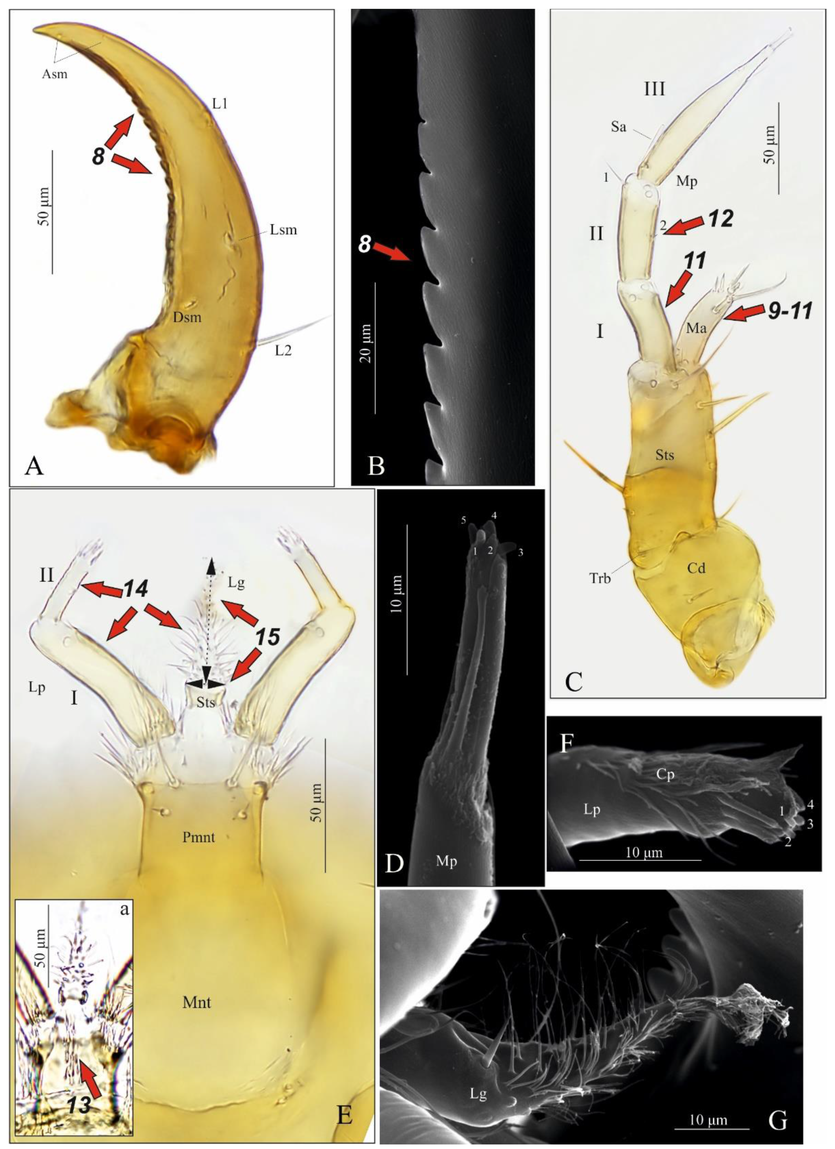 Insects 13 00982 g004