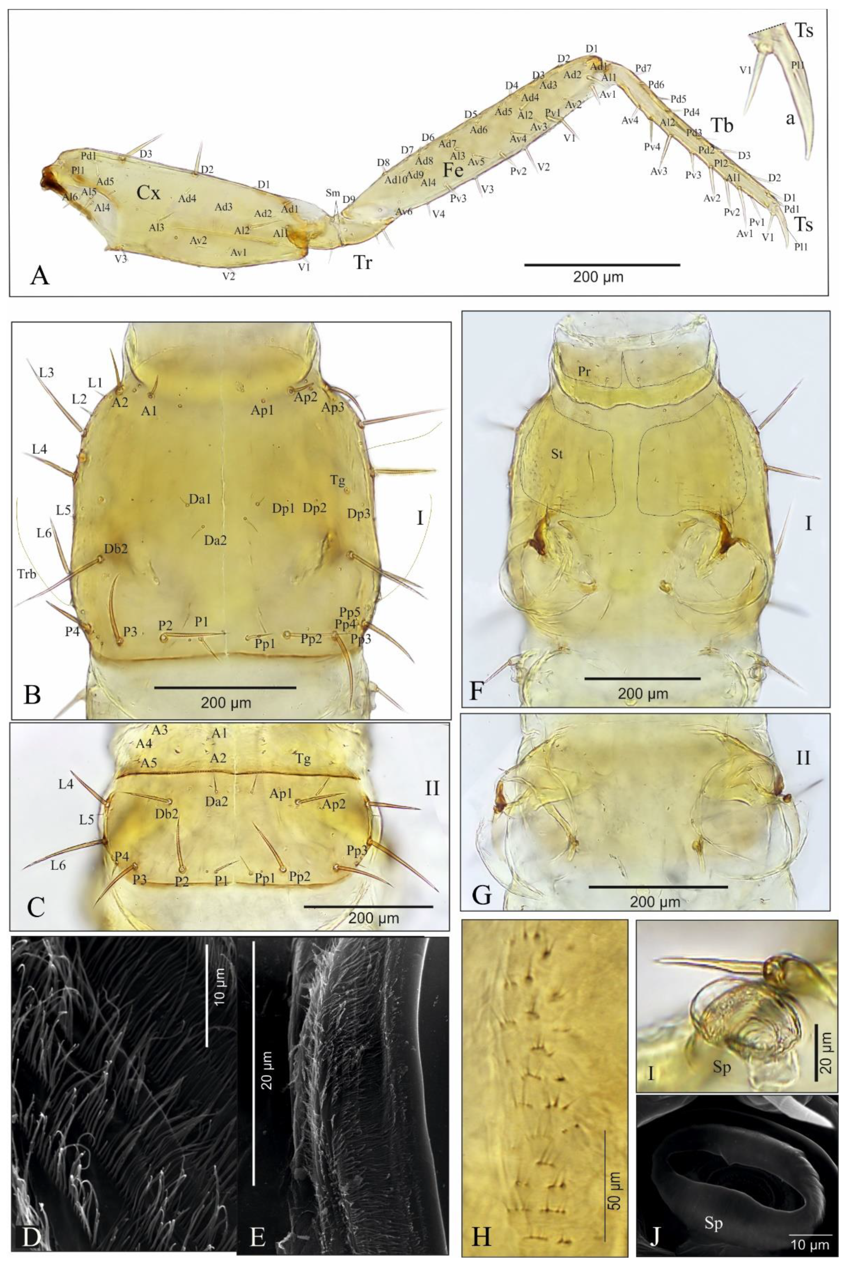Insects 13 00982 g005