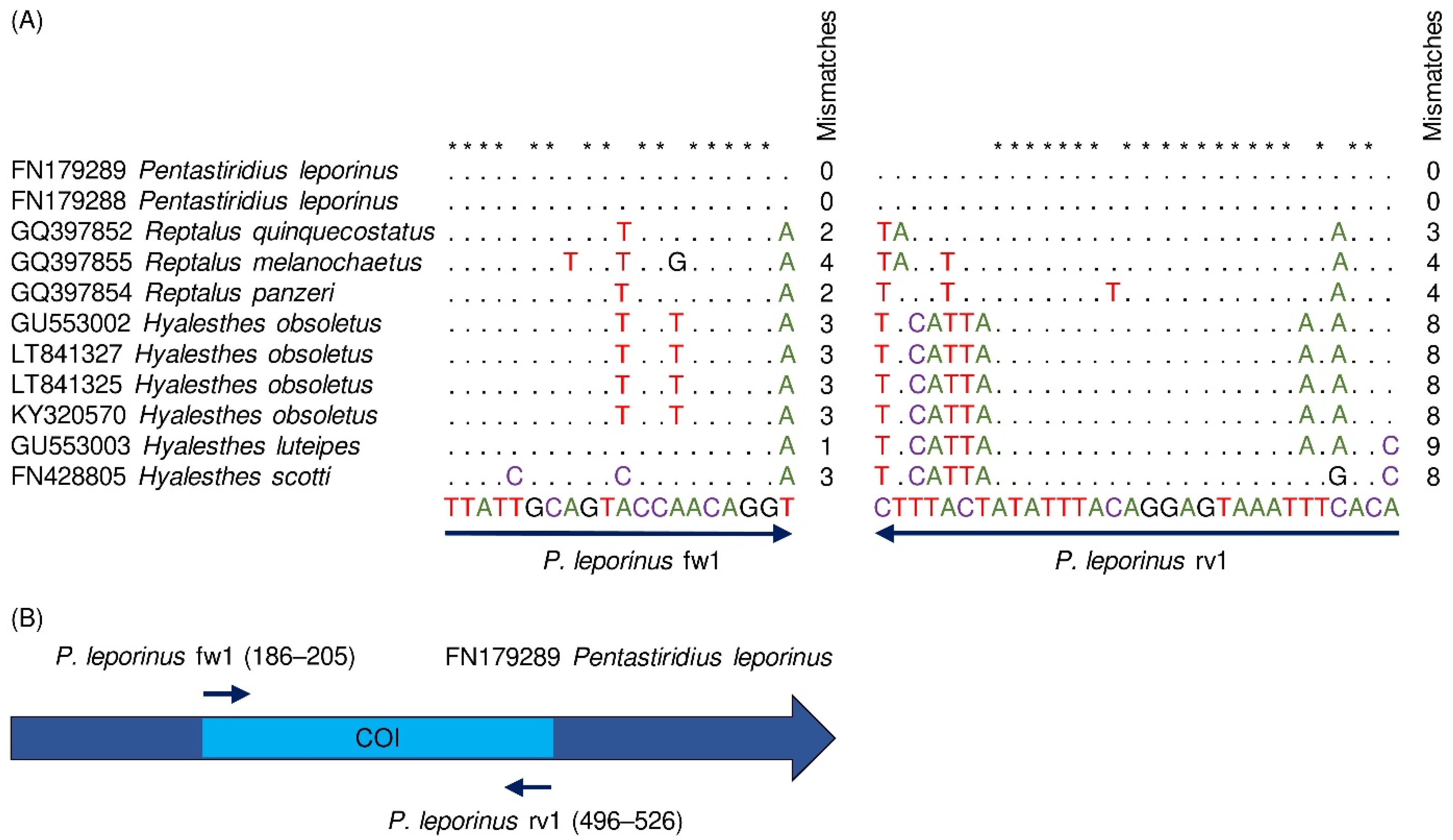 Insects 13 00992 g002 Insects 13 00992 g002