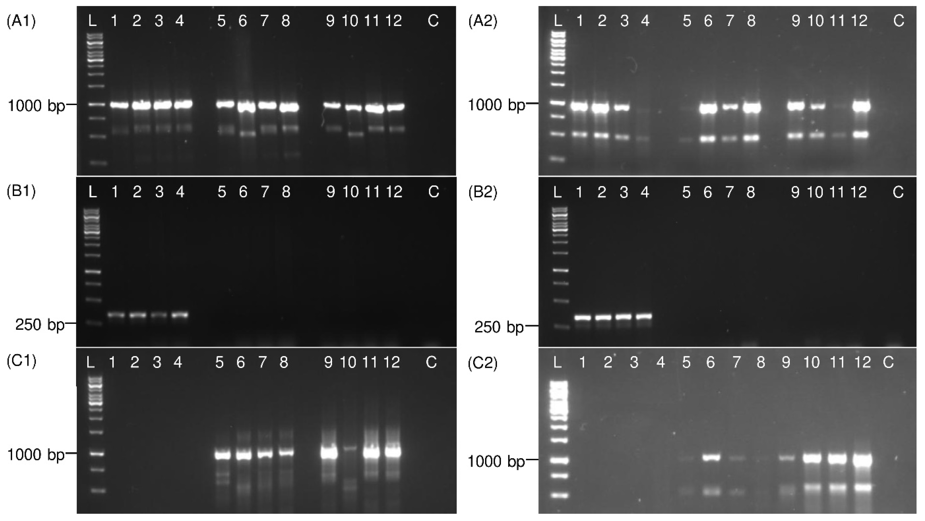 Insects 13 00992 g004 Insects 13 00992 g004