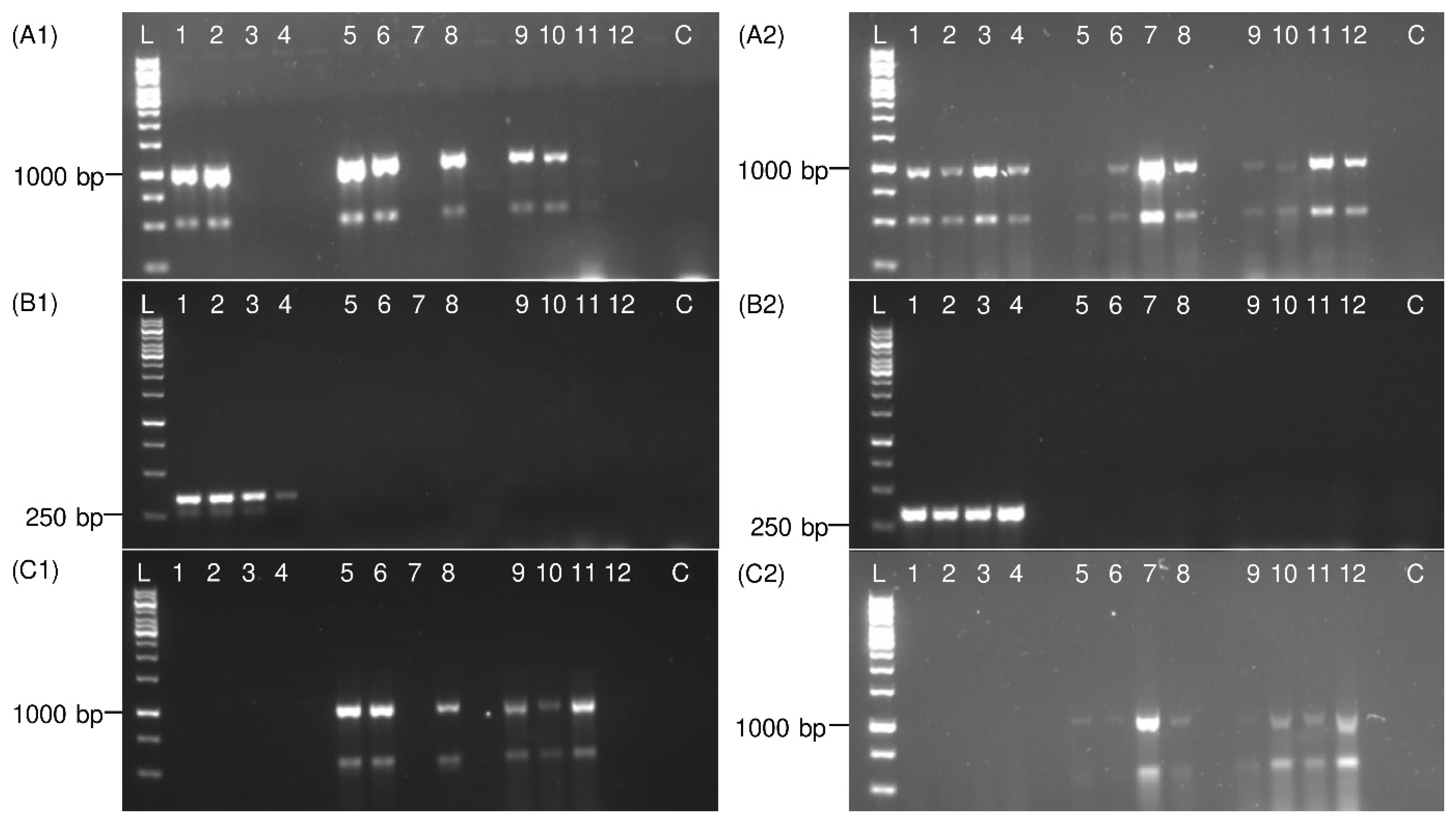 Insects 13 00992 g005 Insects 13 00992 g005