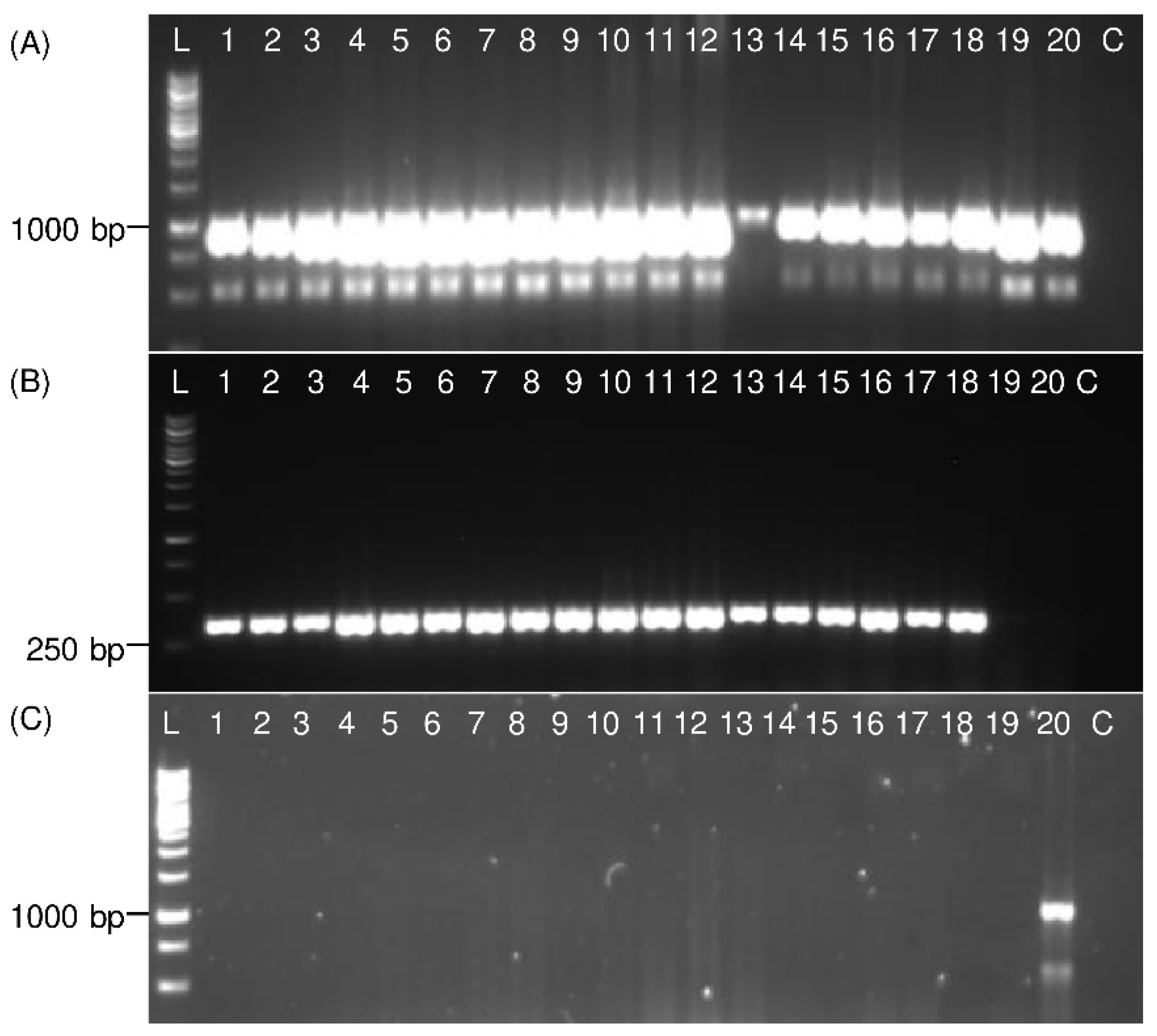 Insects 13 00992 g006 Insects 13 00992 g006