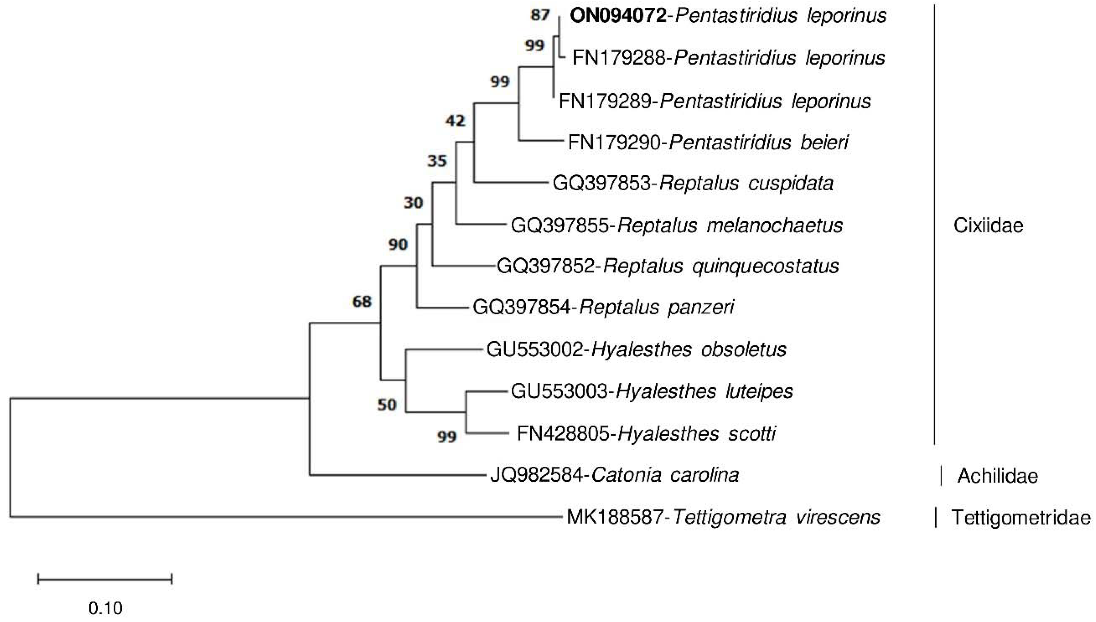Insects 13 00992 g007 Insects 13 00992 g007