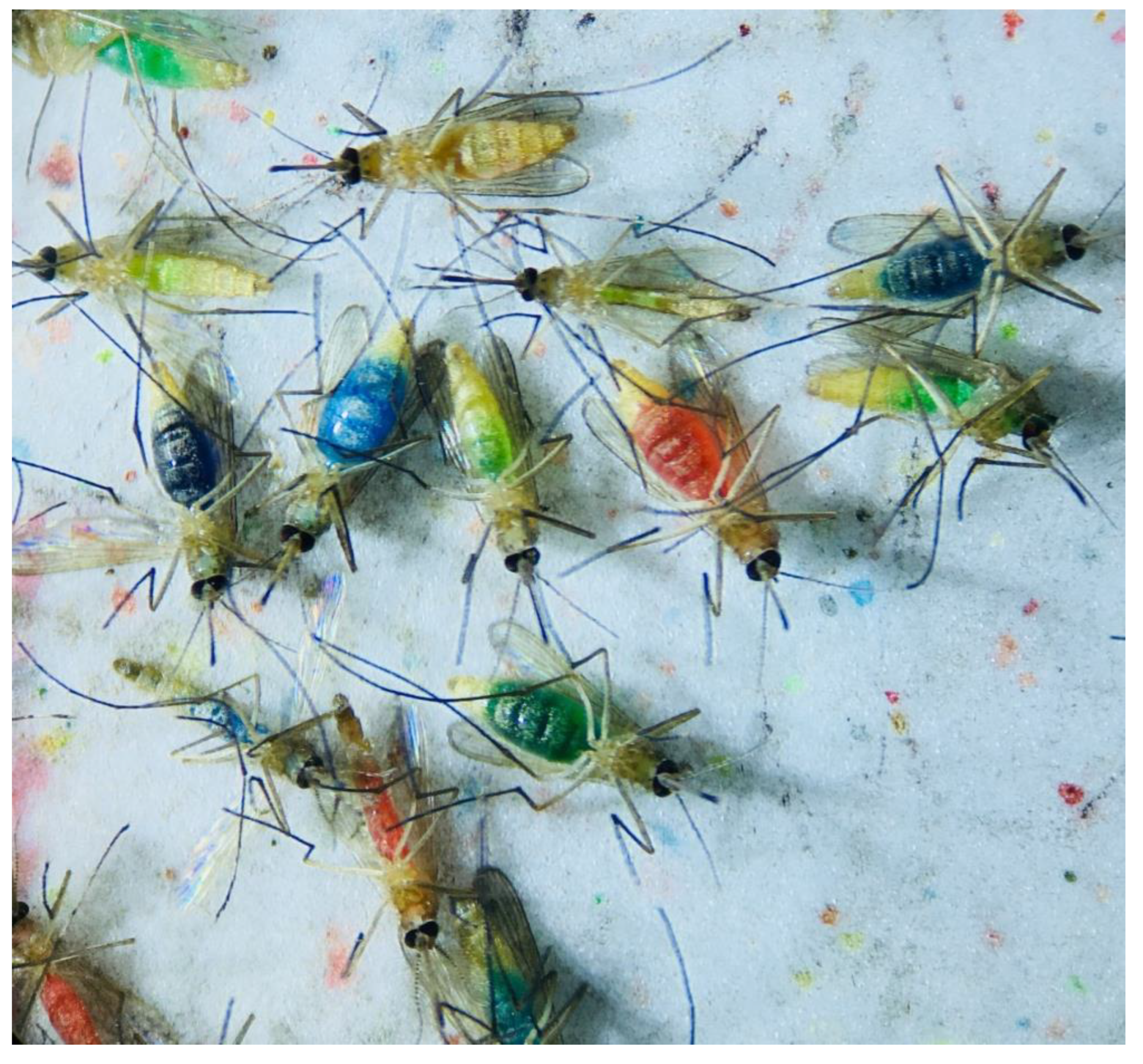 Insects 13 00993 g003 Insects 13 00993 g003